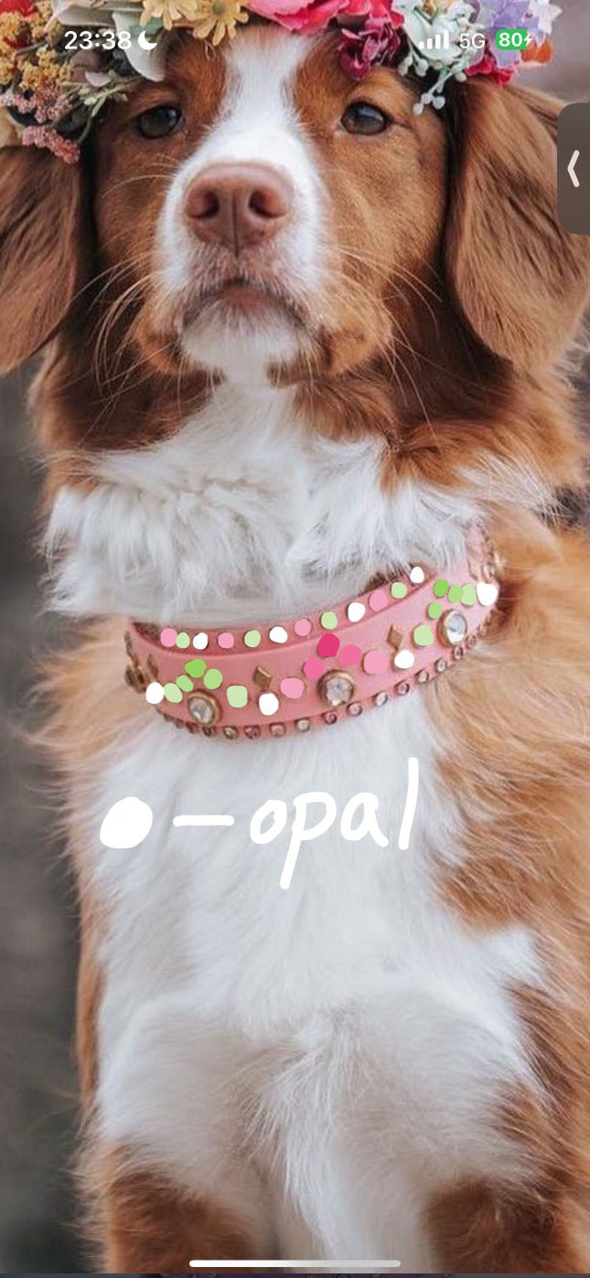 Custom The Caliber double layer collar for paraevo (IG)