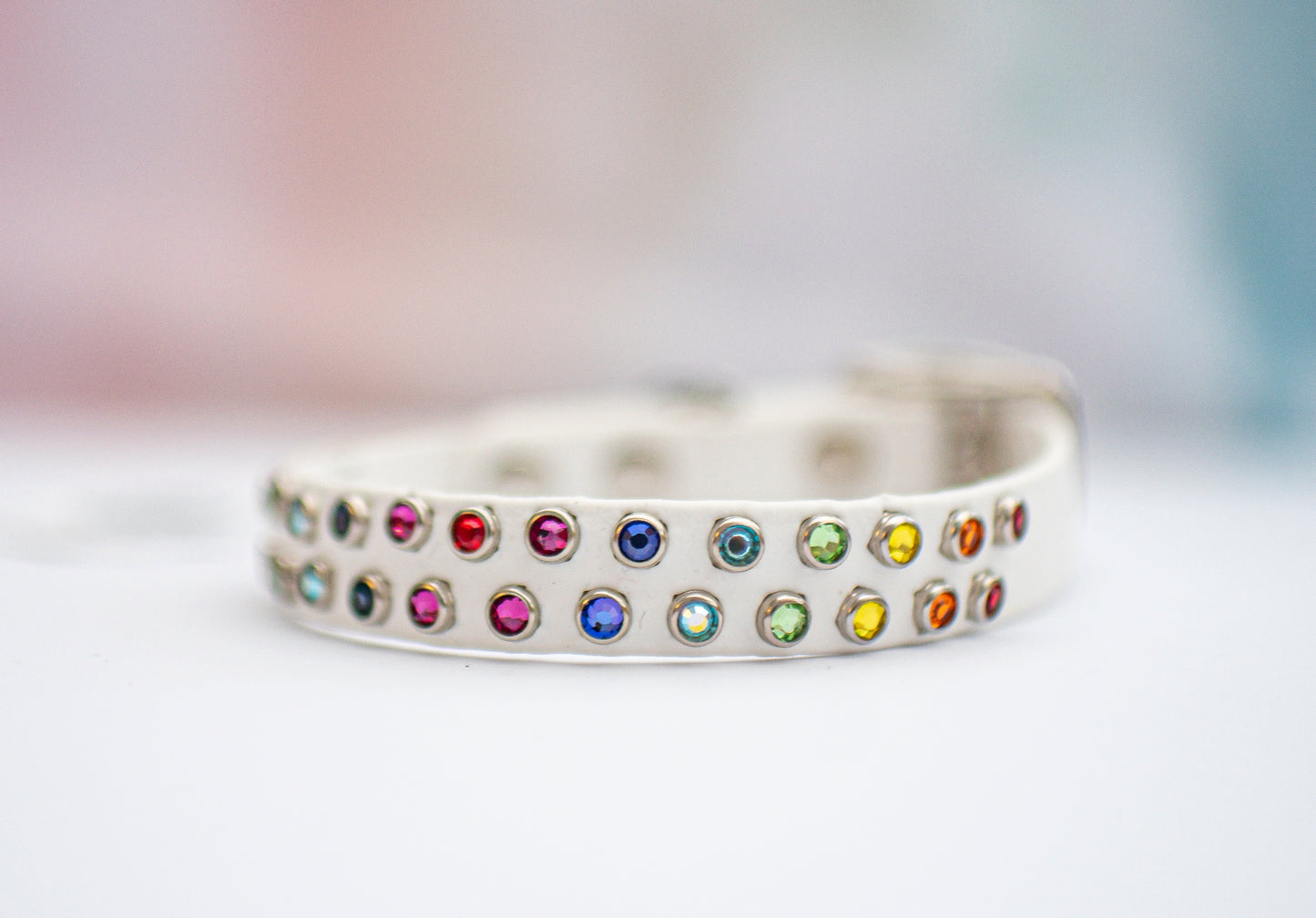 The Tiny Euphoric (16mm/5/8") - Biothane Dog Collar
