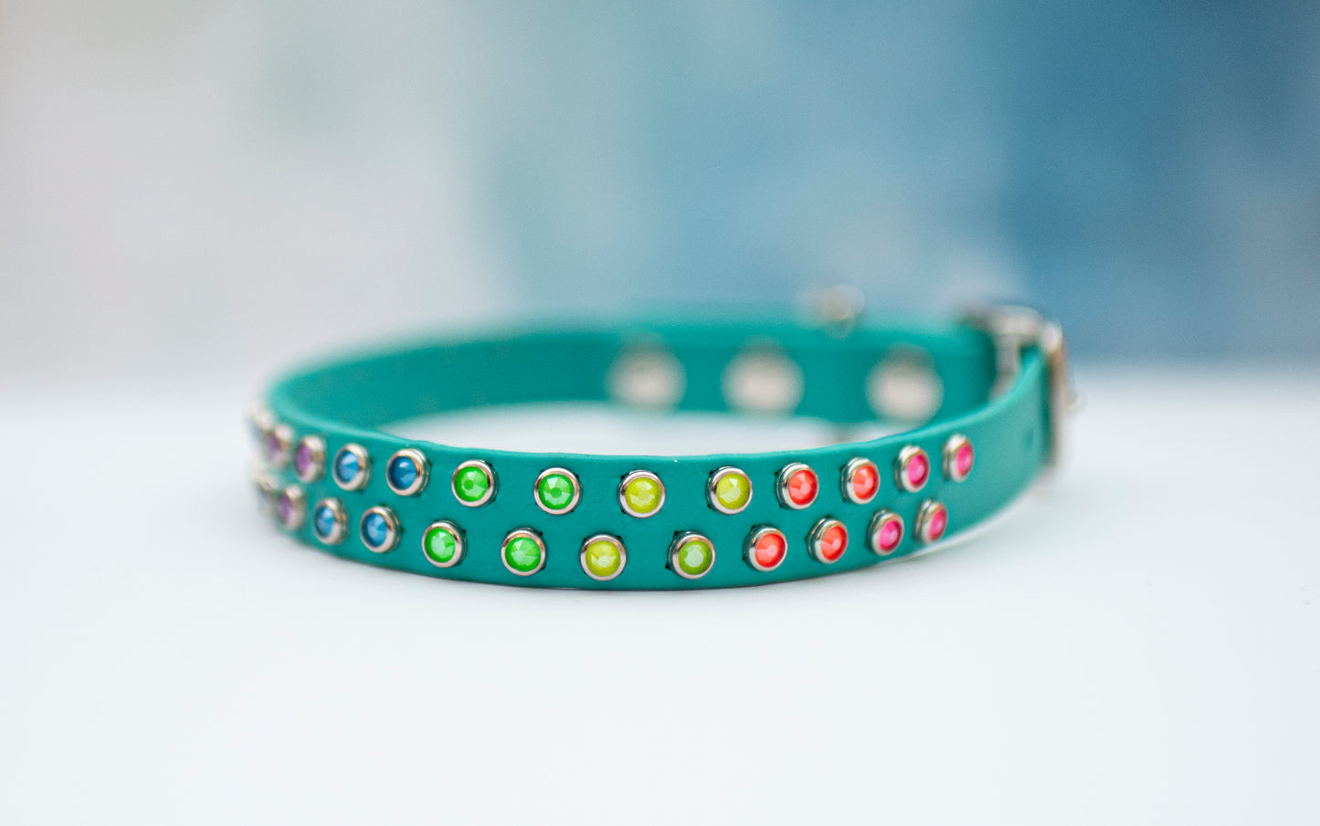 The Tiny Euphoric (16mm/5/8") - Biothane Dog Collar