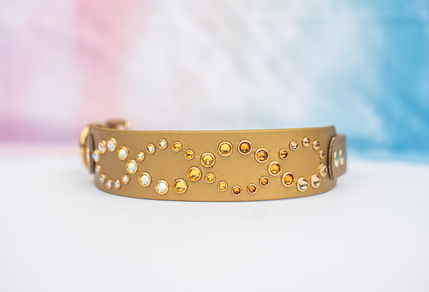 The Infinite (Multiple Widths) - Biothane Dog Collar