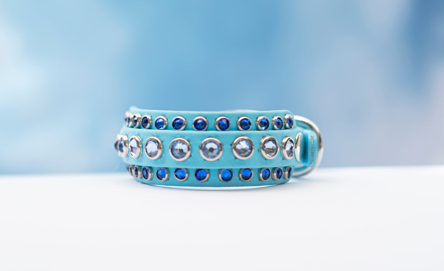 The Ego 1/2" (12mm) on 1" (25mm) Double Layer - Biothane Dog Collar
