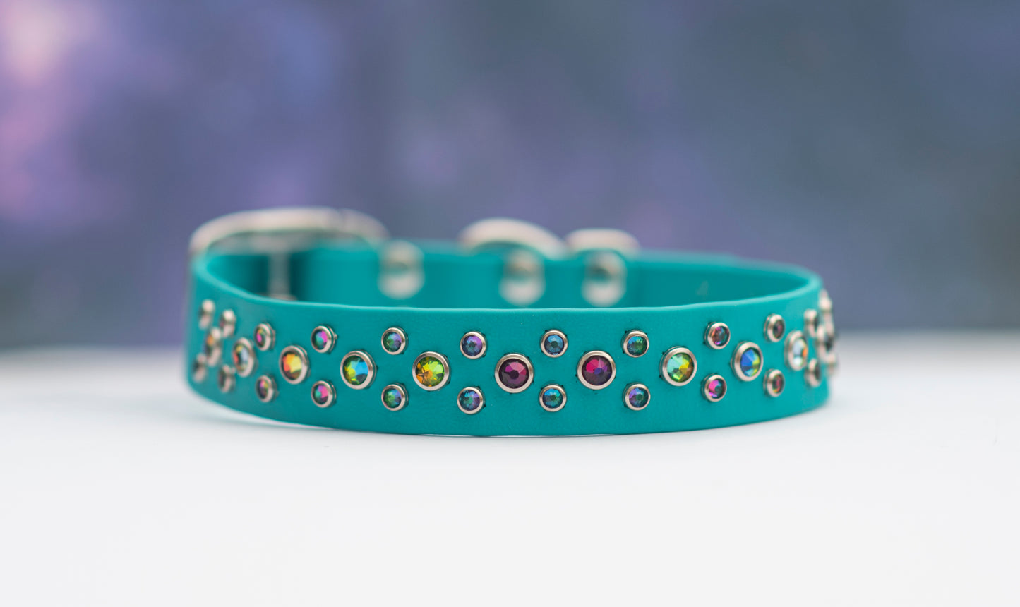 The Arcade (Multiple Widths) - Biothane Dog Collar