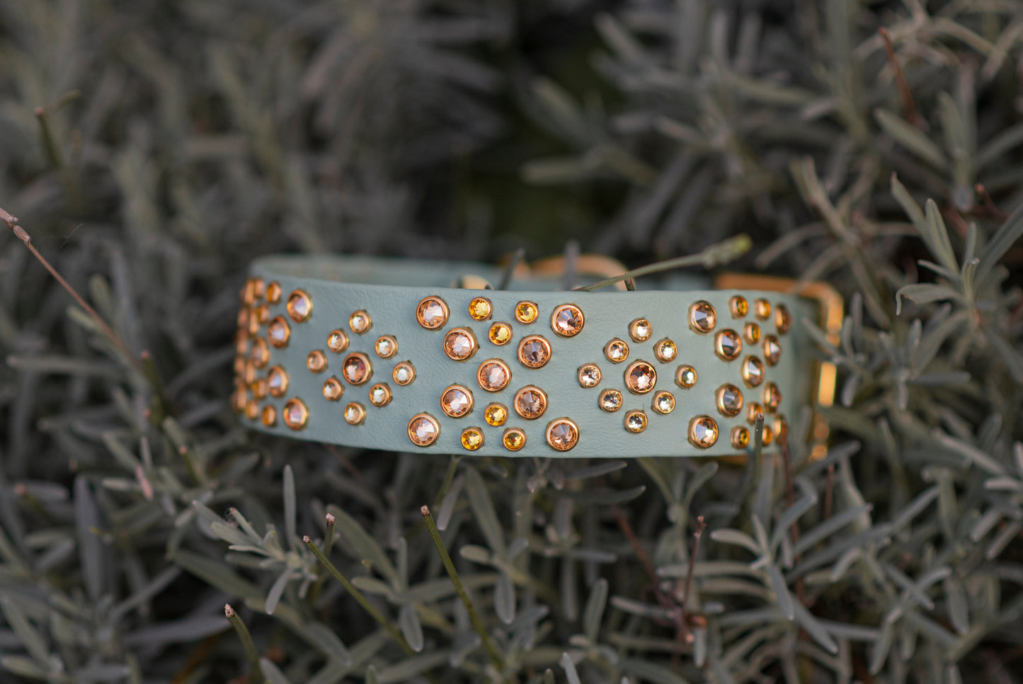 The Gossip 1.5" (38mm) - Biothane Dog Collar