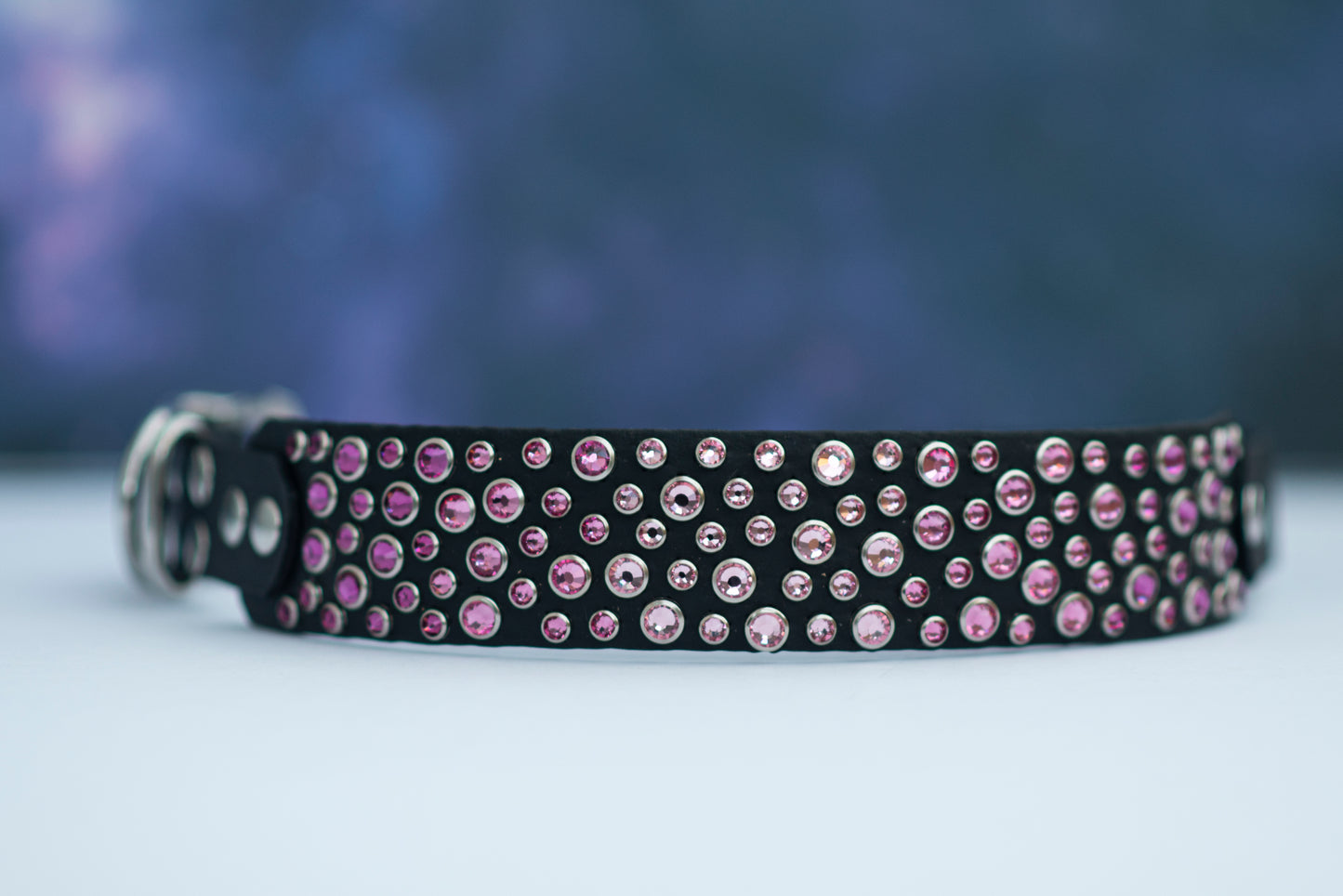 The Prince 1.5" (38mm) - Biothane Dog Collar