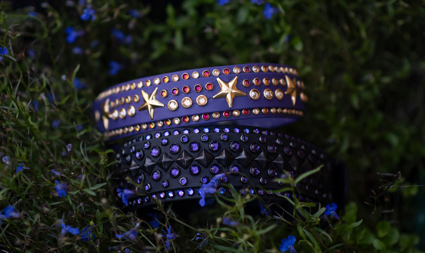 The Shooting Star 1.5" (38mm) Double Layer - Biothane Dog Collar