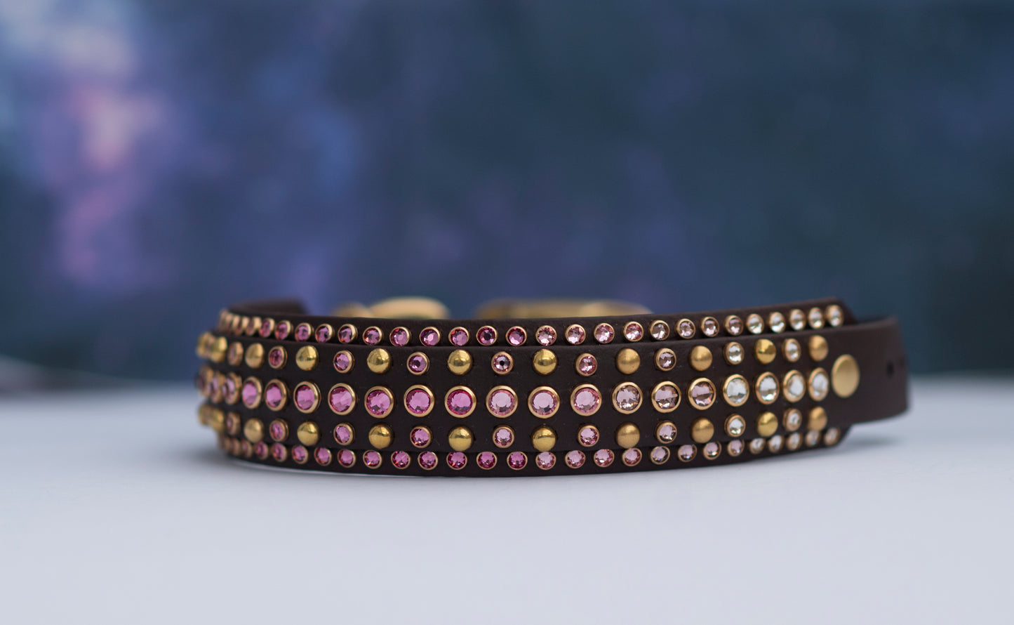 The Leon 1.5" (38mm) Double Layer - Biothane Dog Collar