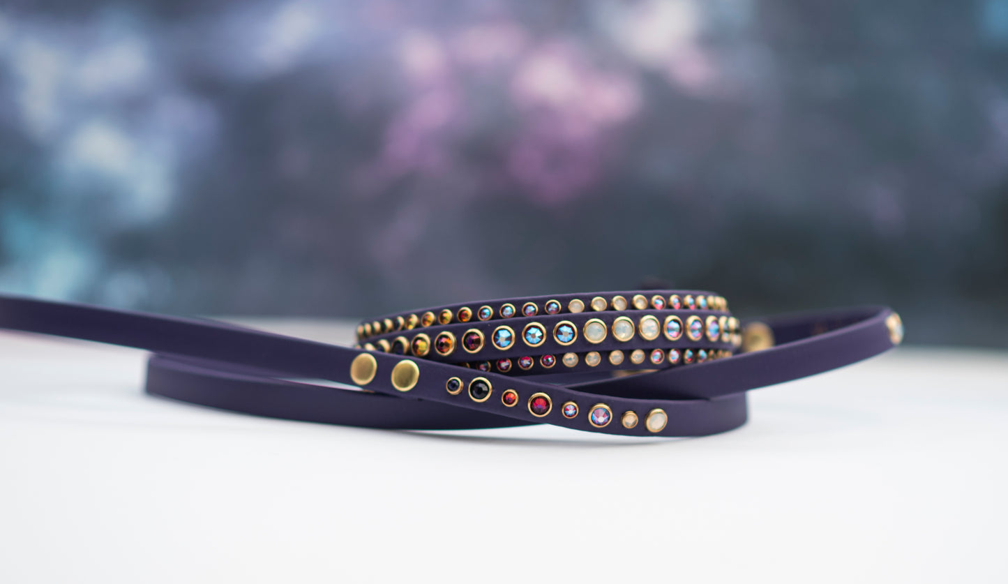 The Ego 1/2" (12mm) on 1" (25mm) Double Layer - Biothane Dog Collar