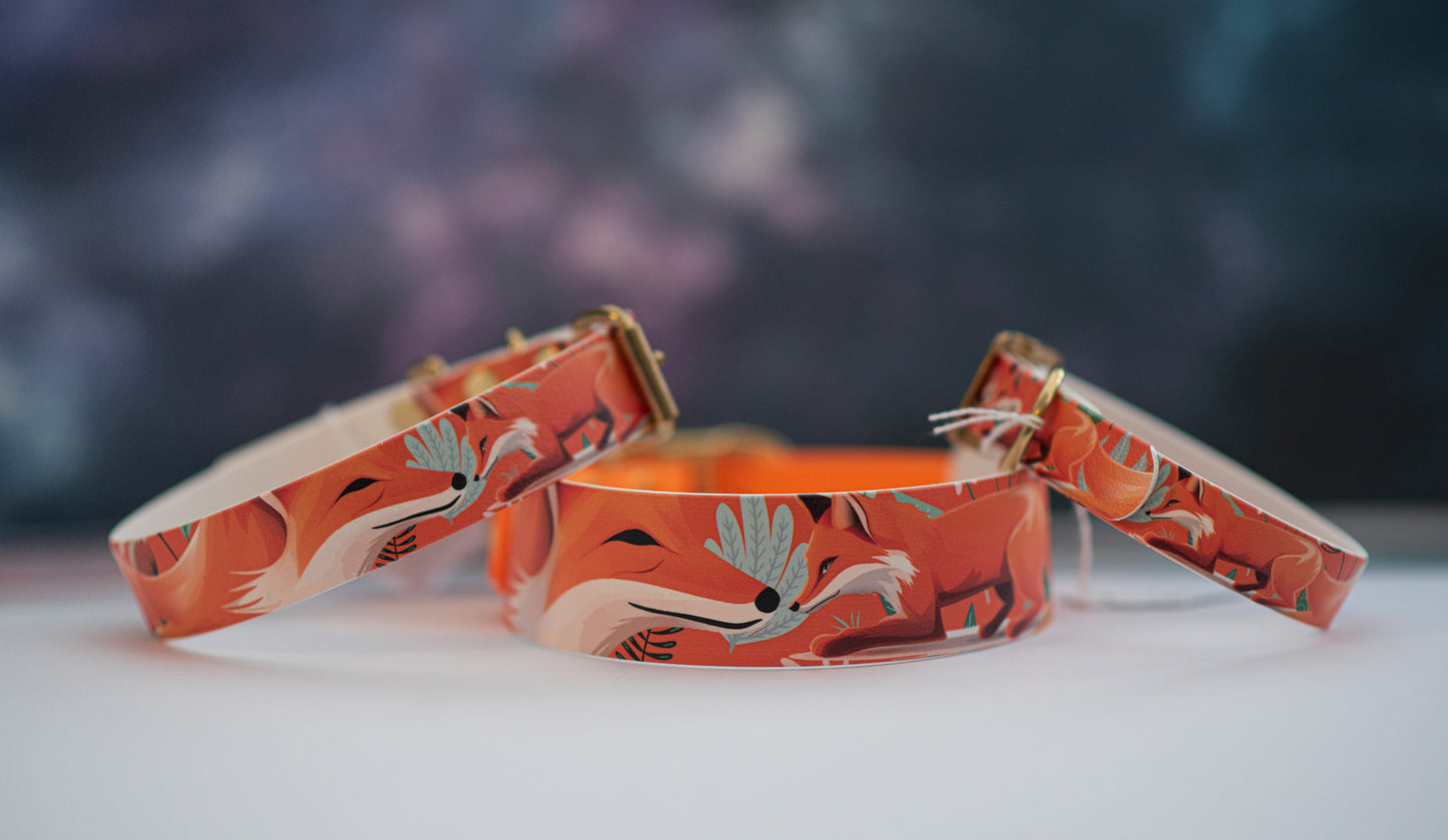 Printed Biothane Collar (No Crystals, Multiple Widths)