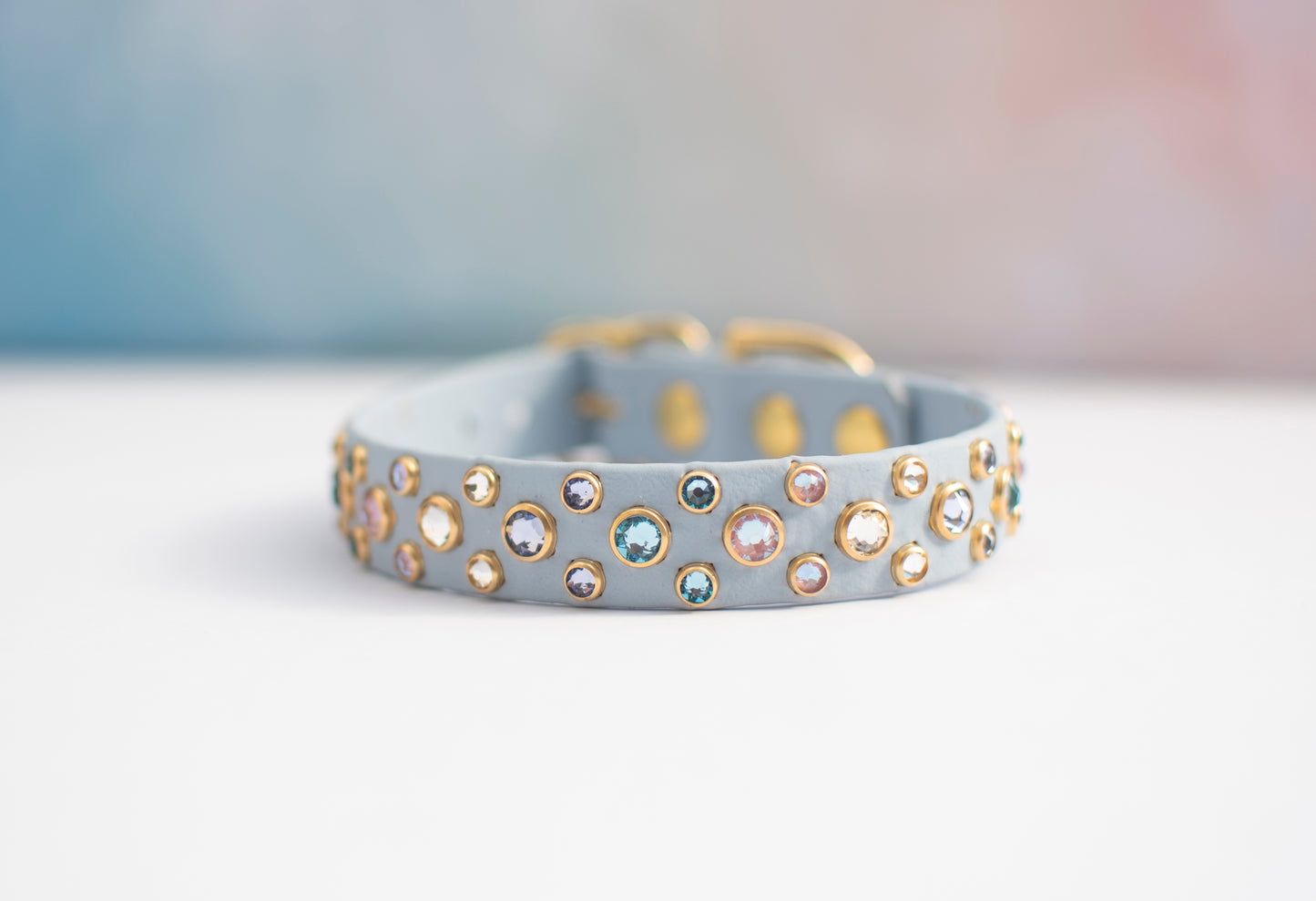 The Arcade (Multiple Widths) - Biothane Dog Collar
