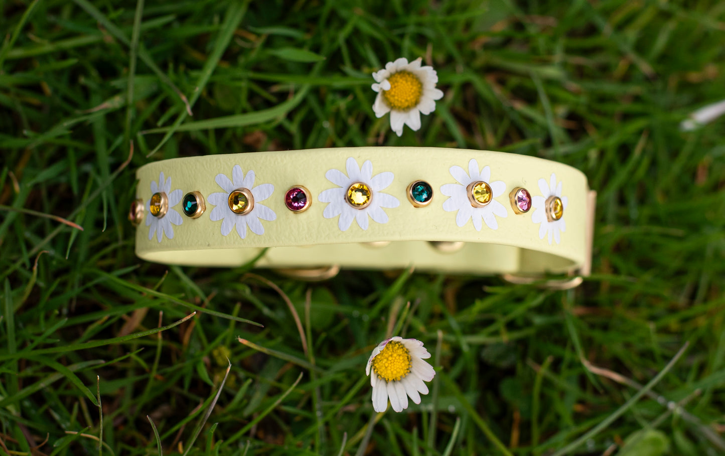 The Daisy Collar (20mm) - Biothane Dog Collar