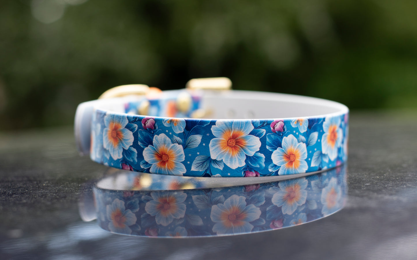 Printed Biothane Collar (No Crystals, Multiple Widths)