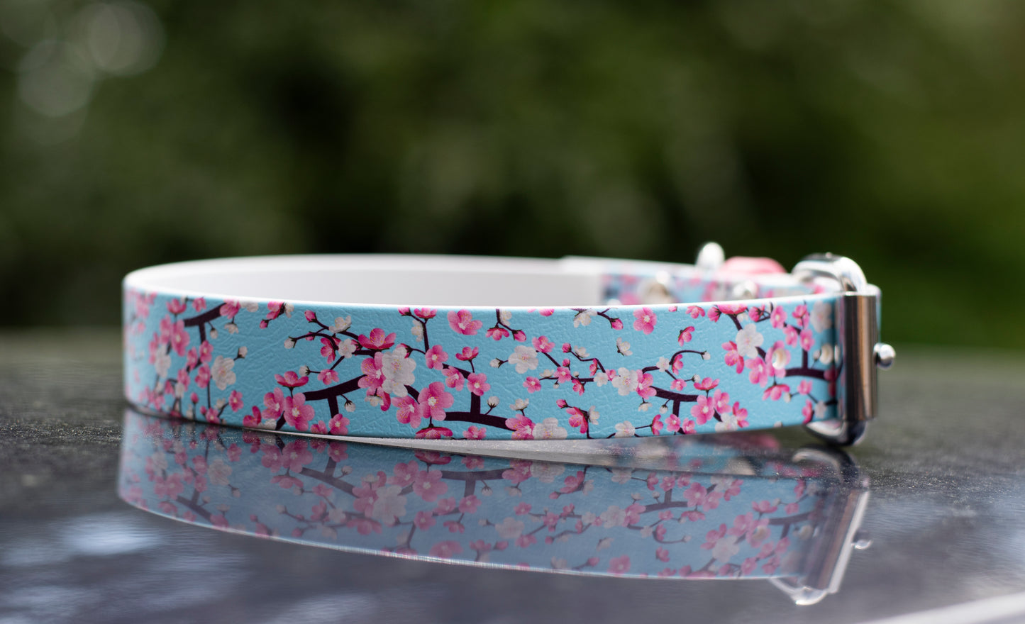 Printed Biothane Collar (No Crystals, Multiple Widths)