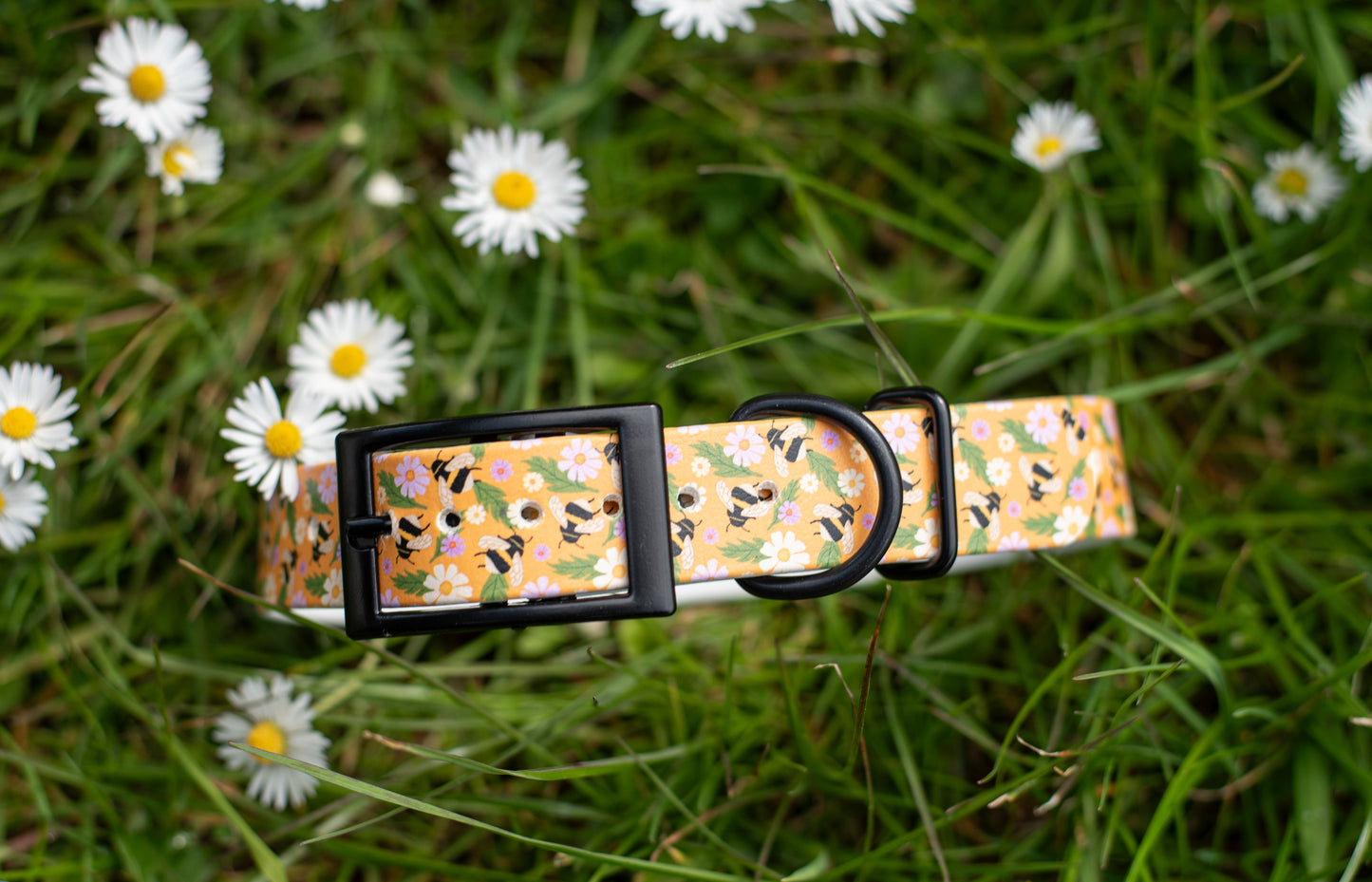 Printed Biothane Collar (No Crystals, Multiple Widths)