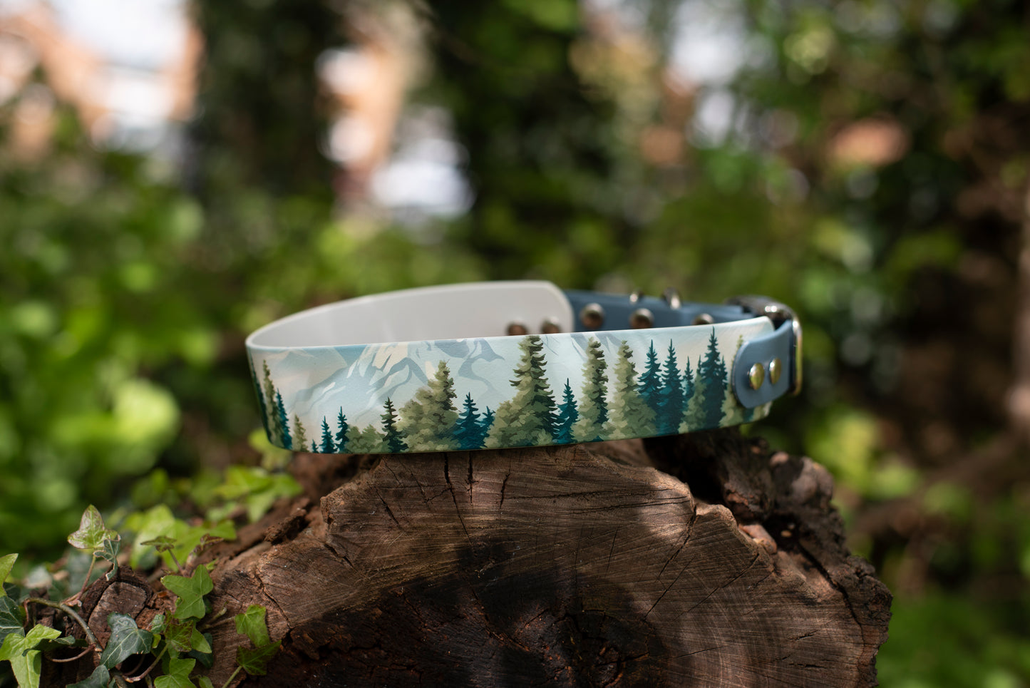 Printed Biothane Collar (No Crystals, Multiple Widths)