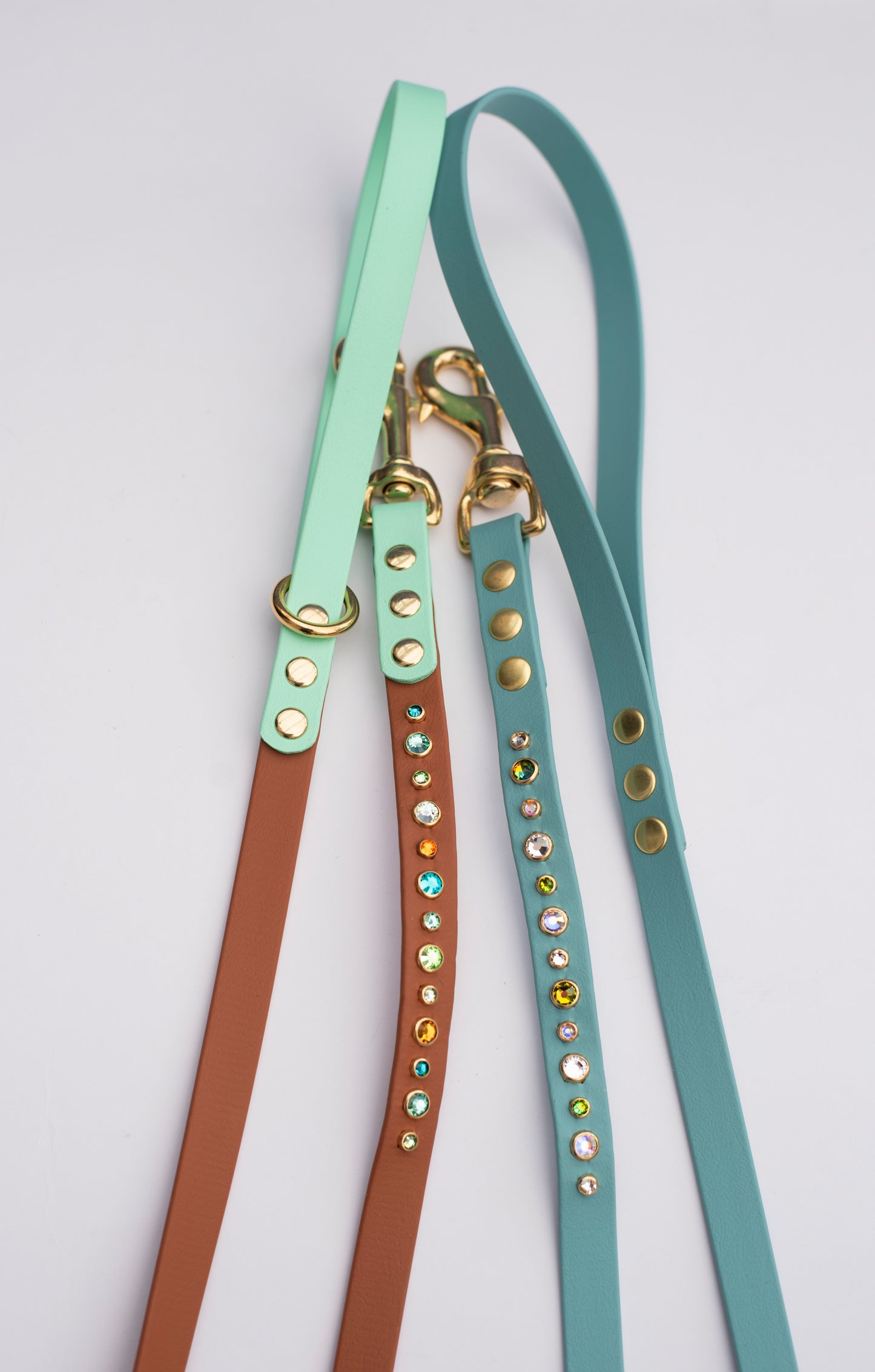 Blingy Biothane Lead