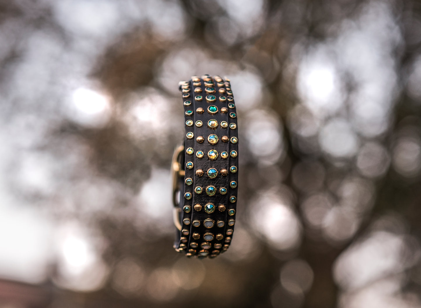 The Leon 1.5" (38mm) Double Layer - Biothane Dog Collar