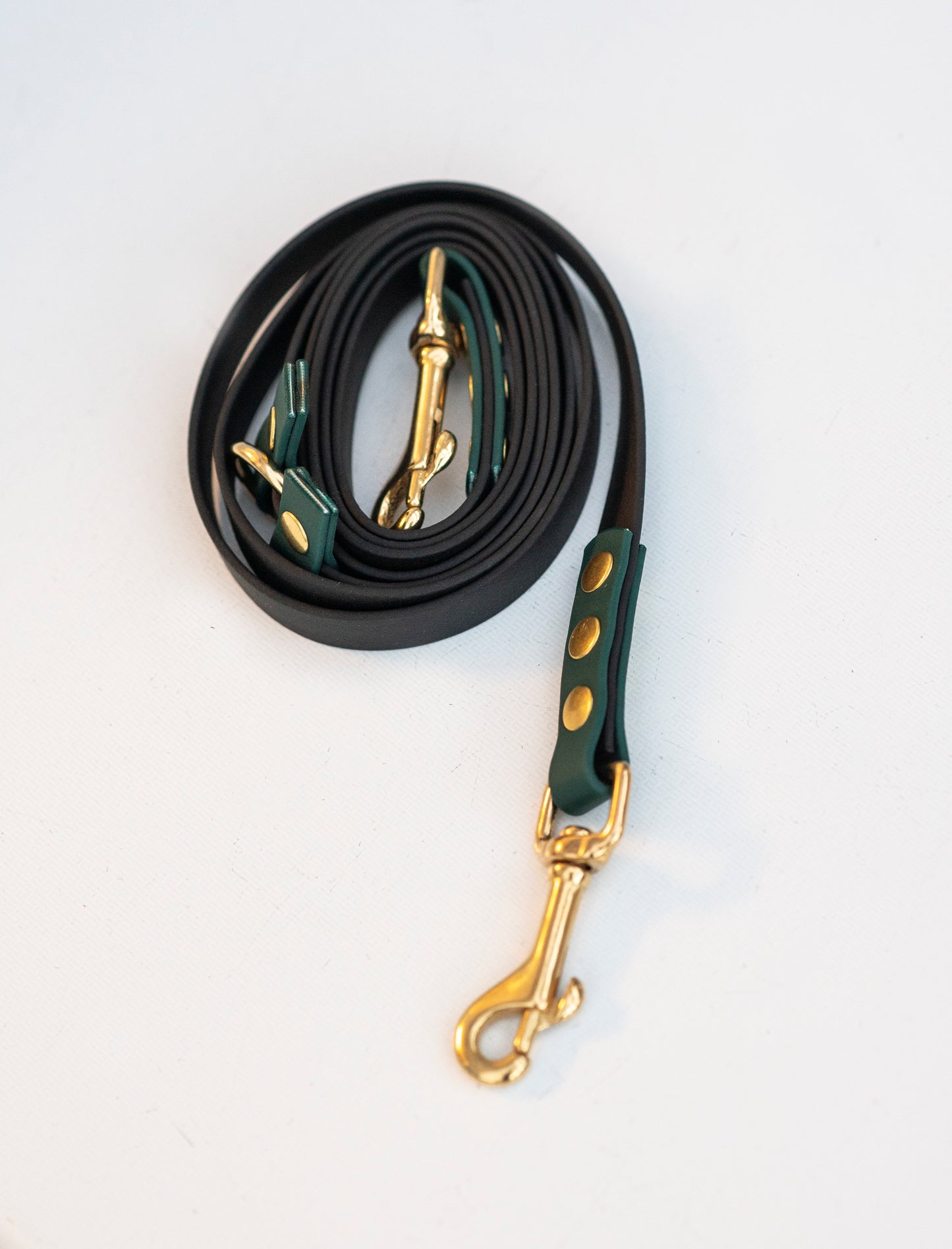 Training Lead