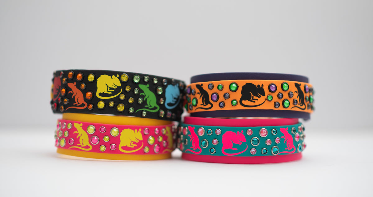 Barn Hunt Collar - Vinyl Biothane Dog Collar