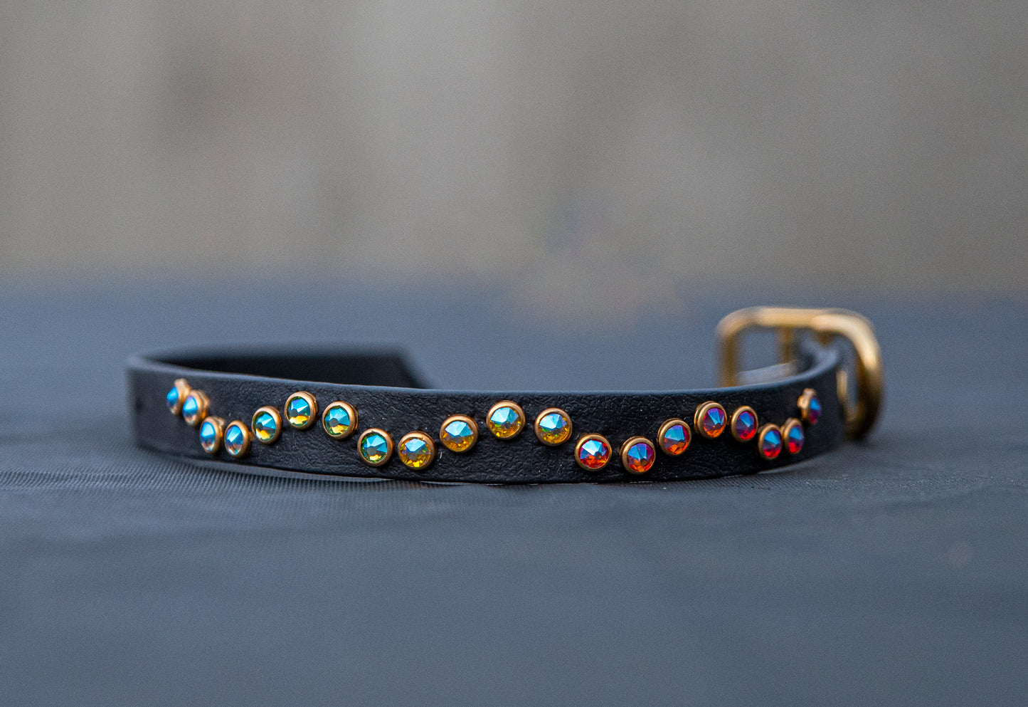 The Wave (Multiple Widths) - Biothane Dog Collar