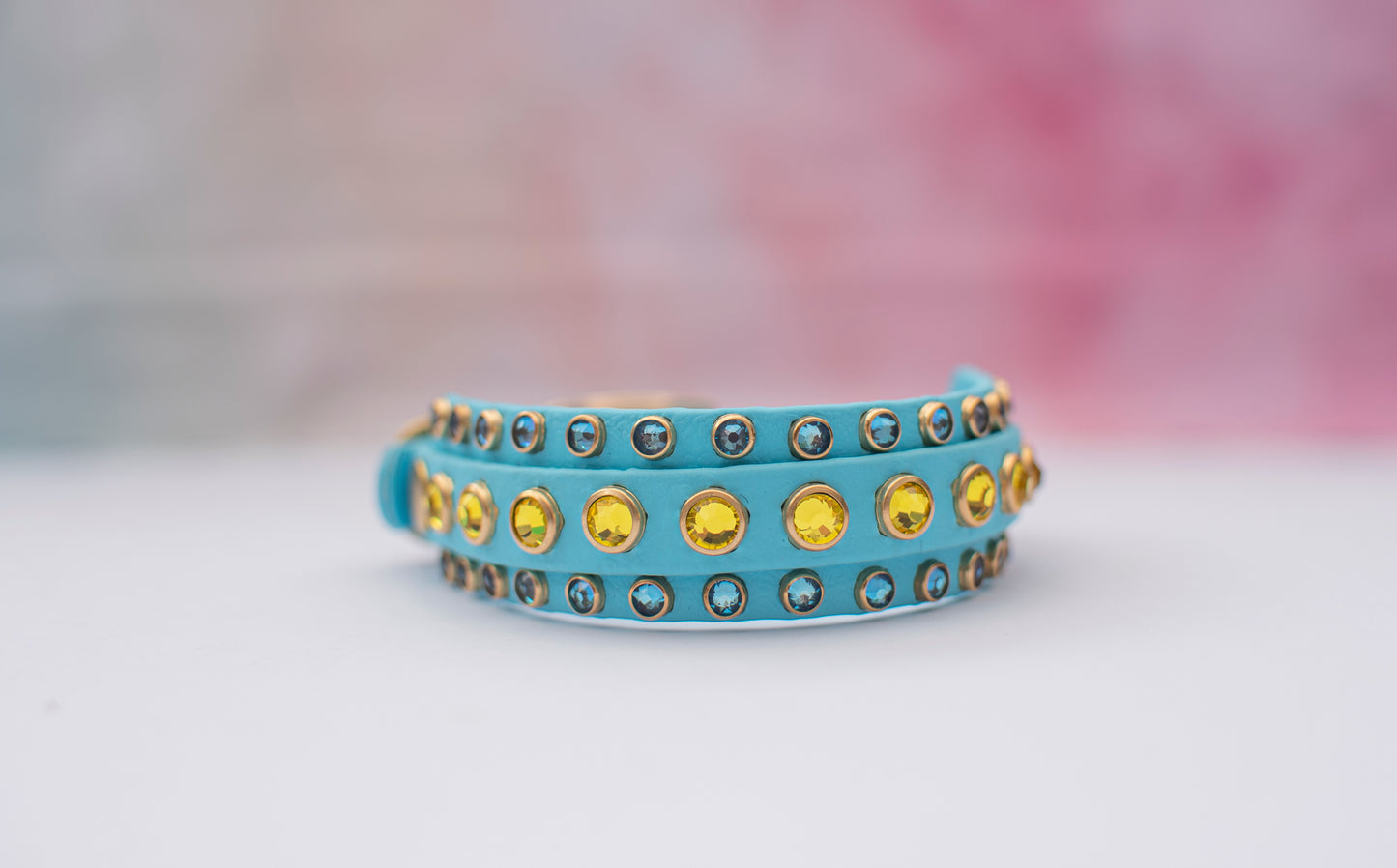 The Ego 1/2" (12mm) on 1" (25mm) Double Layer - Biothane Dog Collar