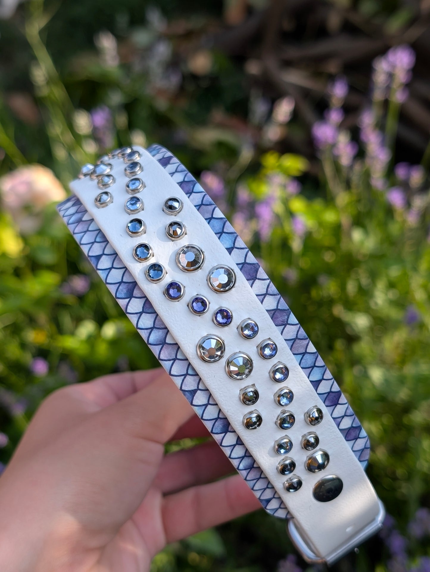The Shiver 1" (25mm) layered on 1.5" (38mm) - Custom Biothane Dog Collar