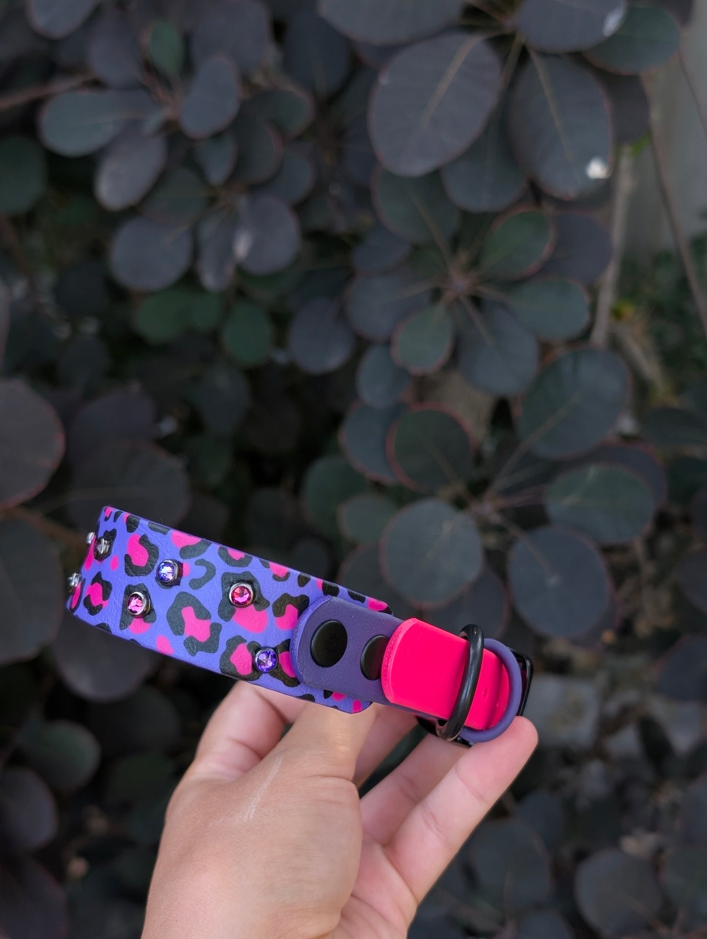 11-14"Size, 1" tapered to 3/4" Width - Ready To Ship Collar
