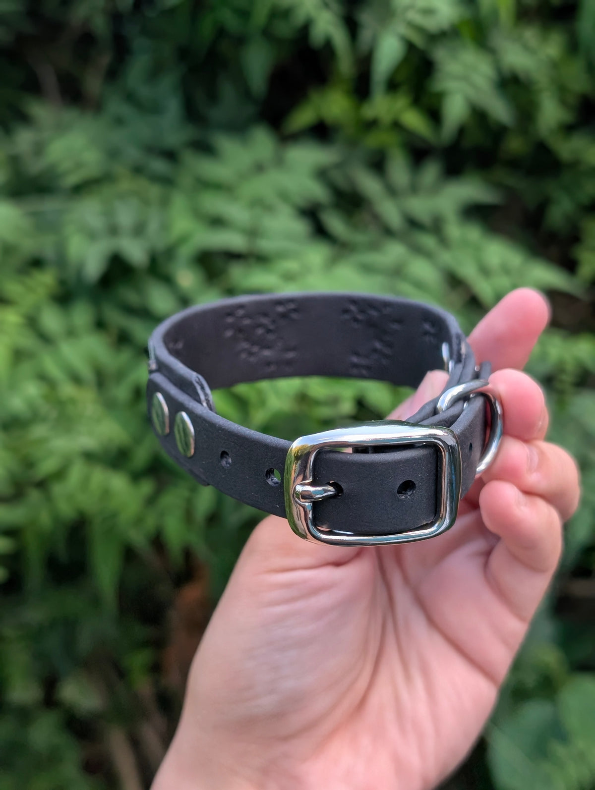 10-12.5" size, 1" tapered to 5/8" Width GLOW IN THE DARK - Ready To Ship Collar