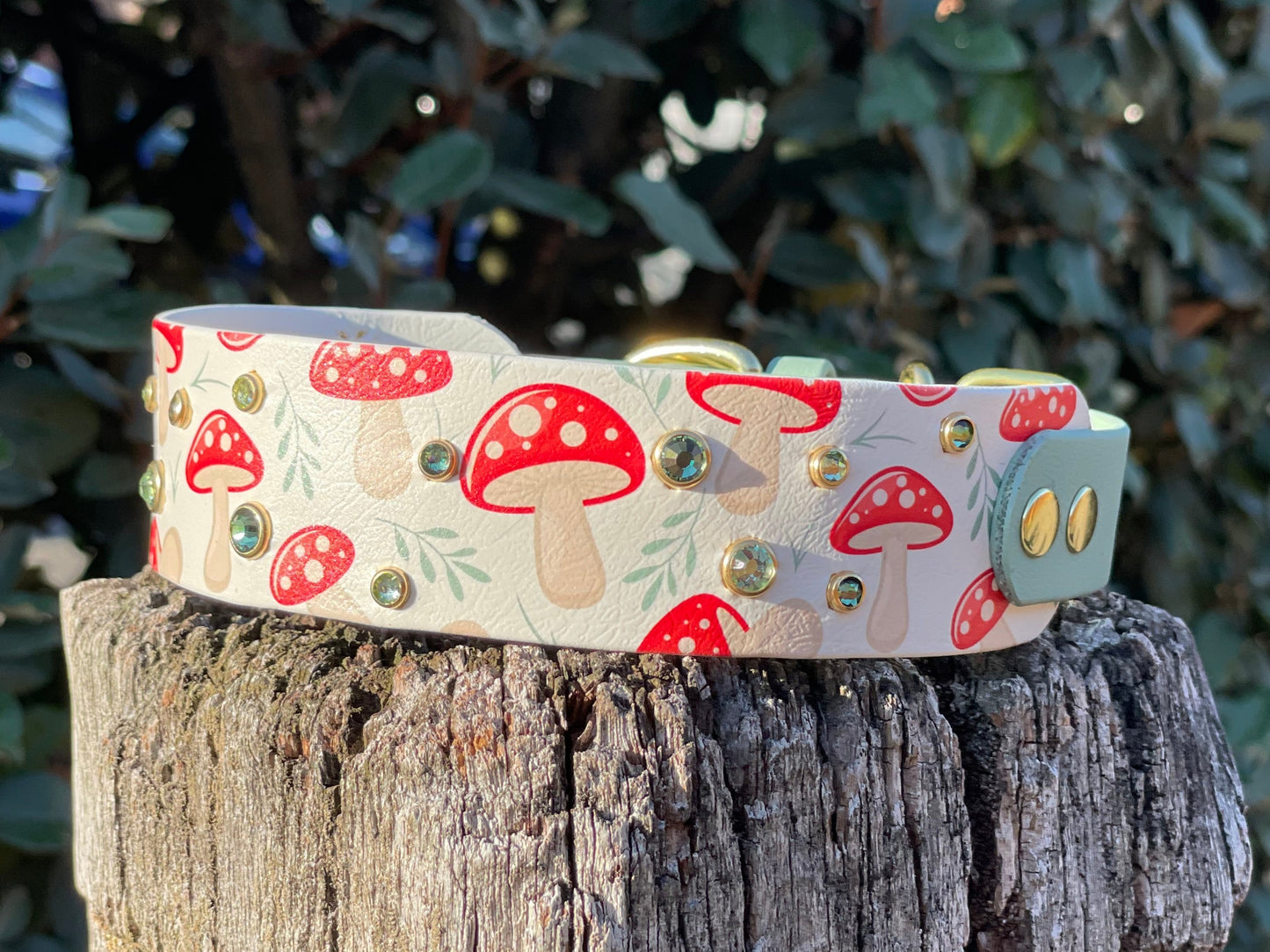 The Fungi Of The Forest - Autumn Biothane Dog Collar