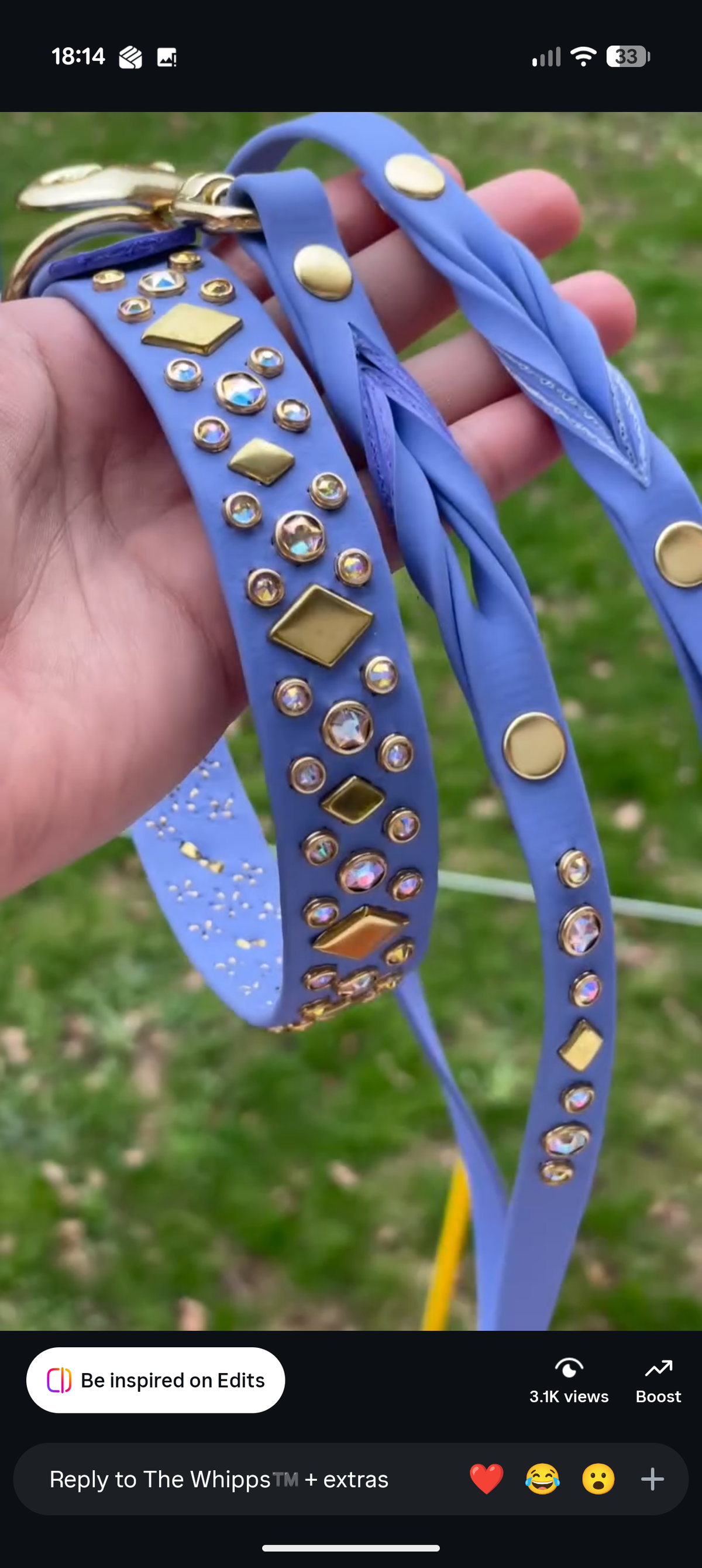 Custom collar for the_helping_hounds (IG)