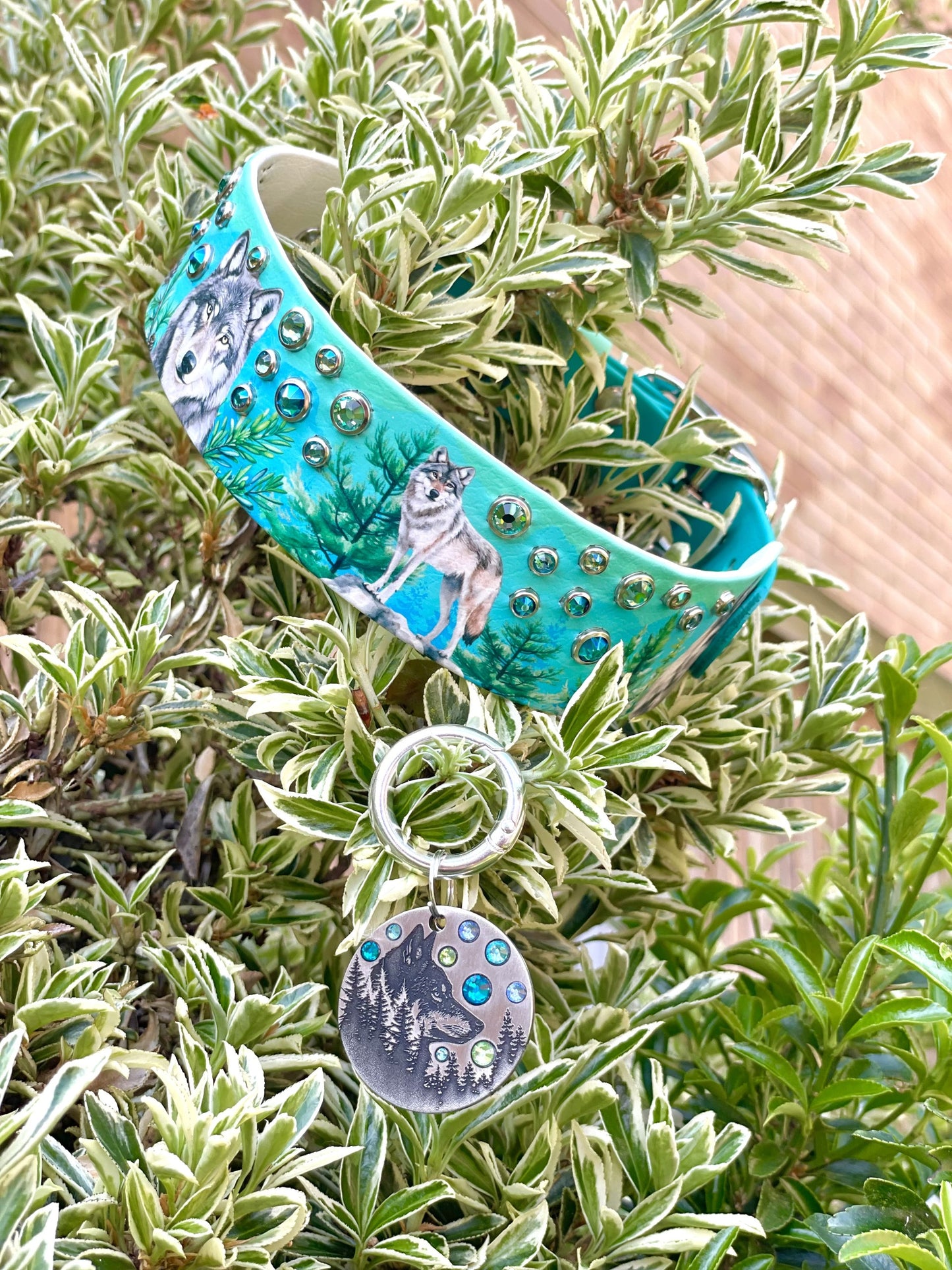 Wolf's Woods - THATK x C9C Collab