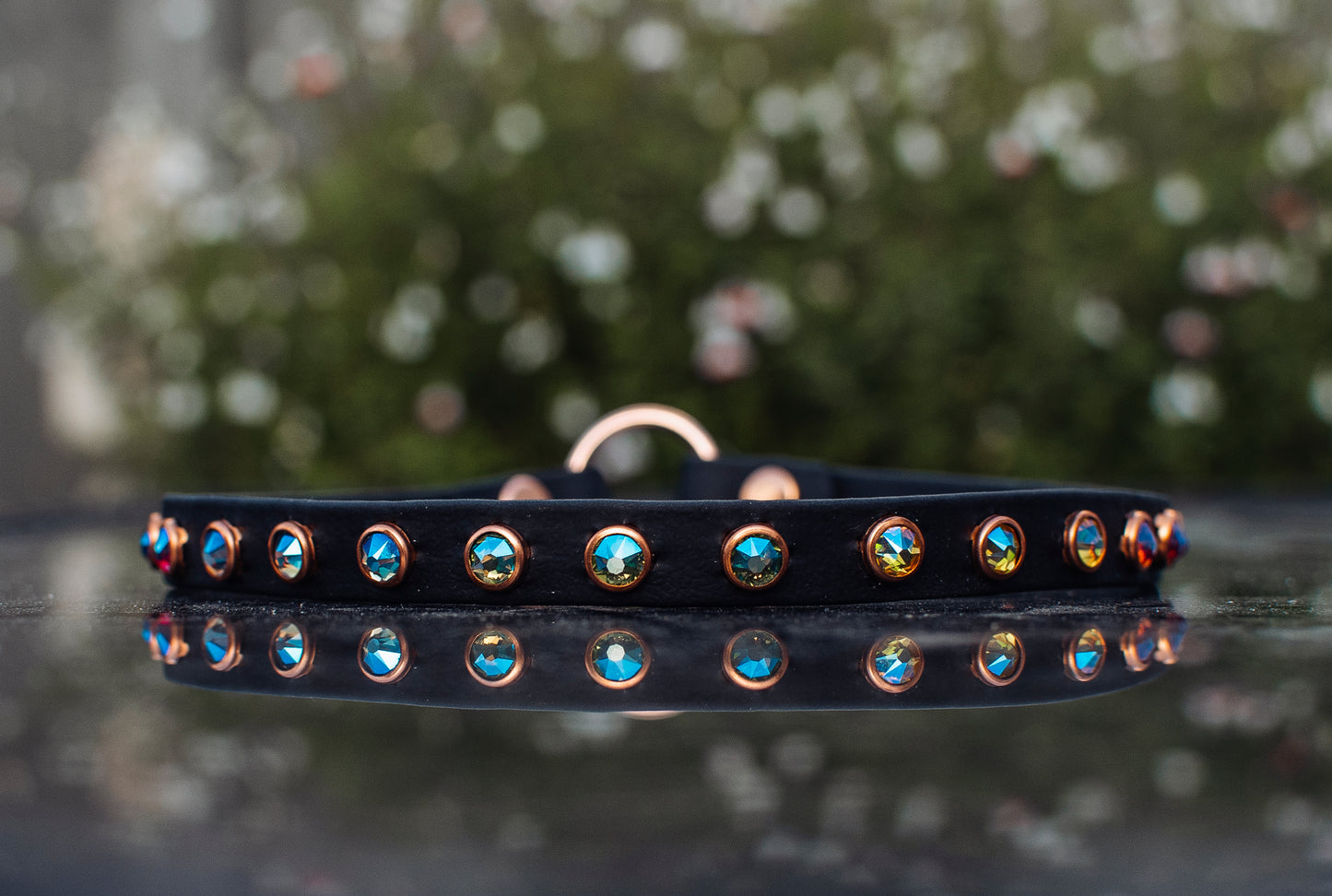 The Essence (Multiple Widths) - Biothane Dog Collar