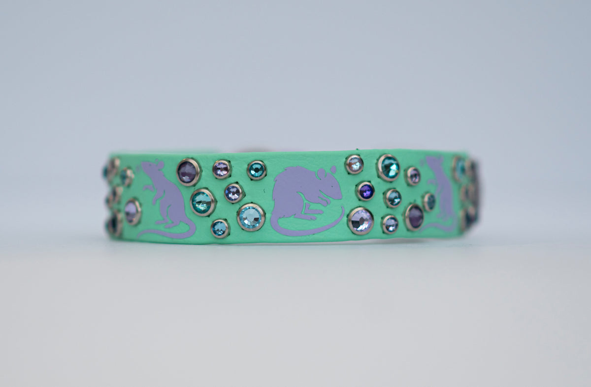 Barn Hunt Collar  - Vinyl Biothane Dog Collar