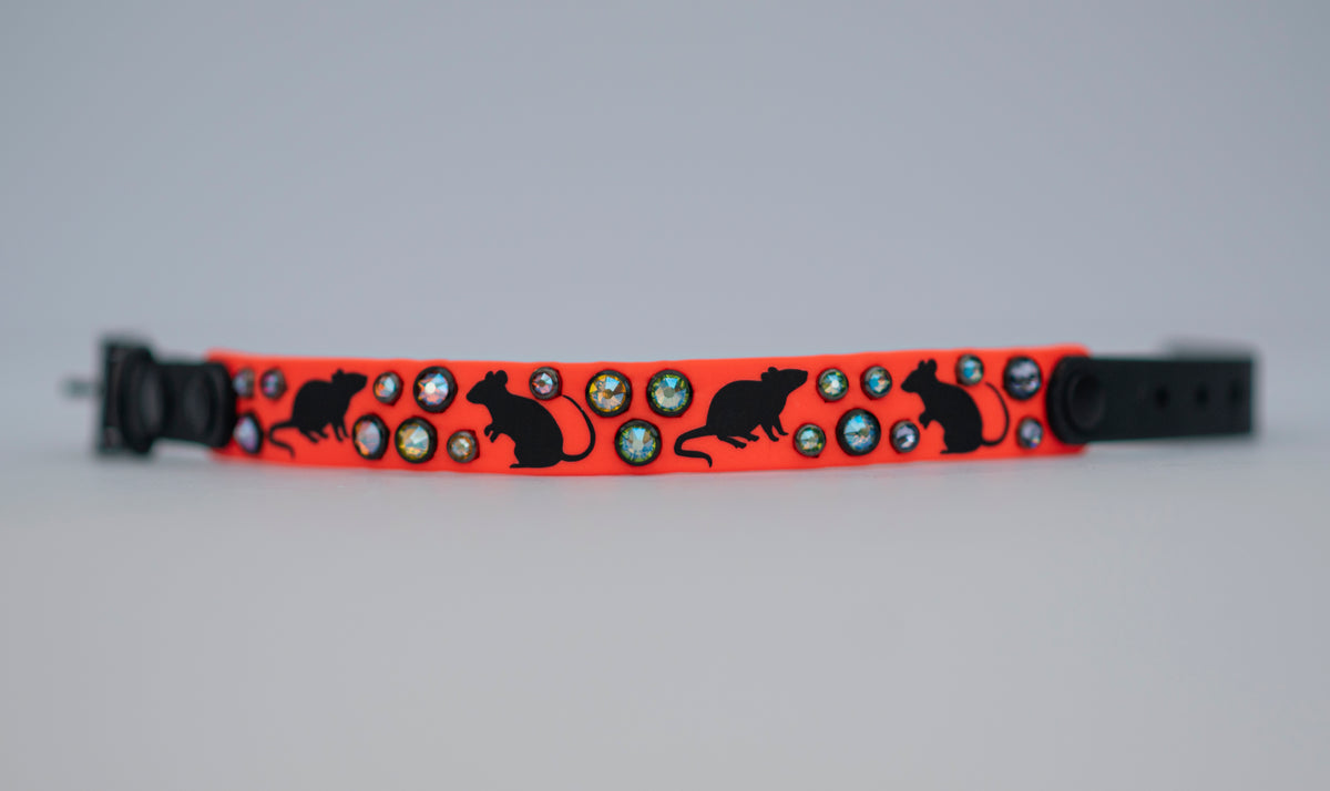 Barn Hunt Collar  - Vinyl Biothane Dog Collar