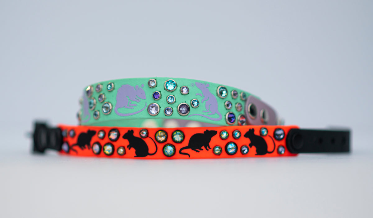 Barn Hunt Collar  - Vinyl Biothane Dog Collar