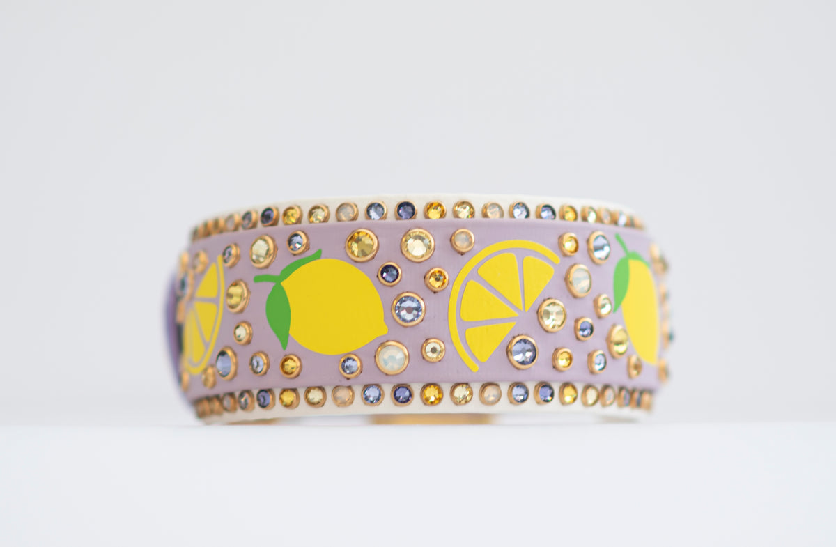 Vinyl x Bling Custom Design - Biothane Dog Collar