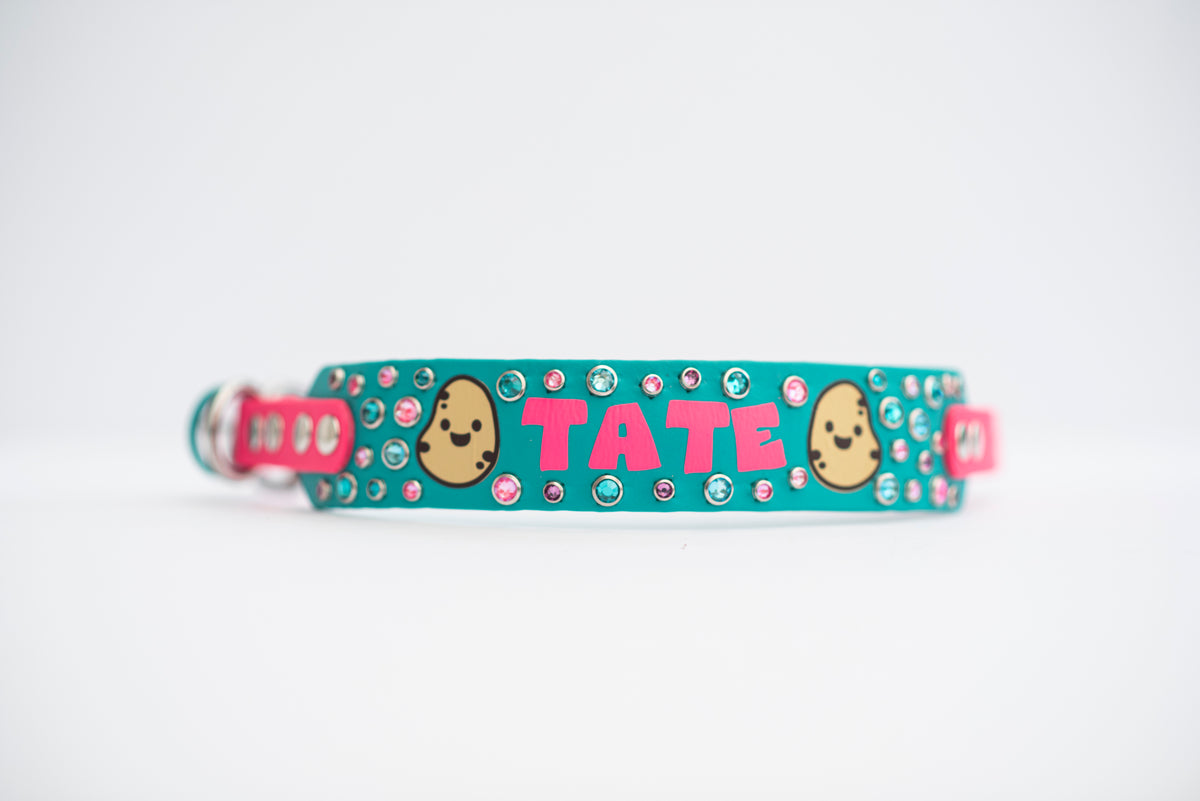 Vinyl x Bling Custom Design - Biothane Dog Collar