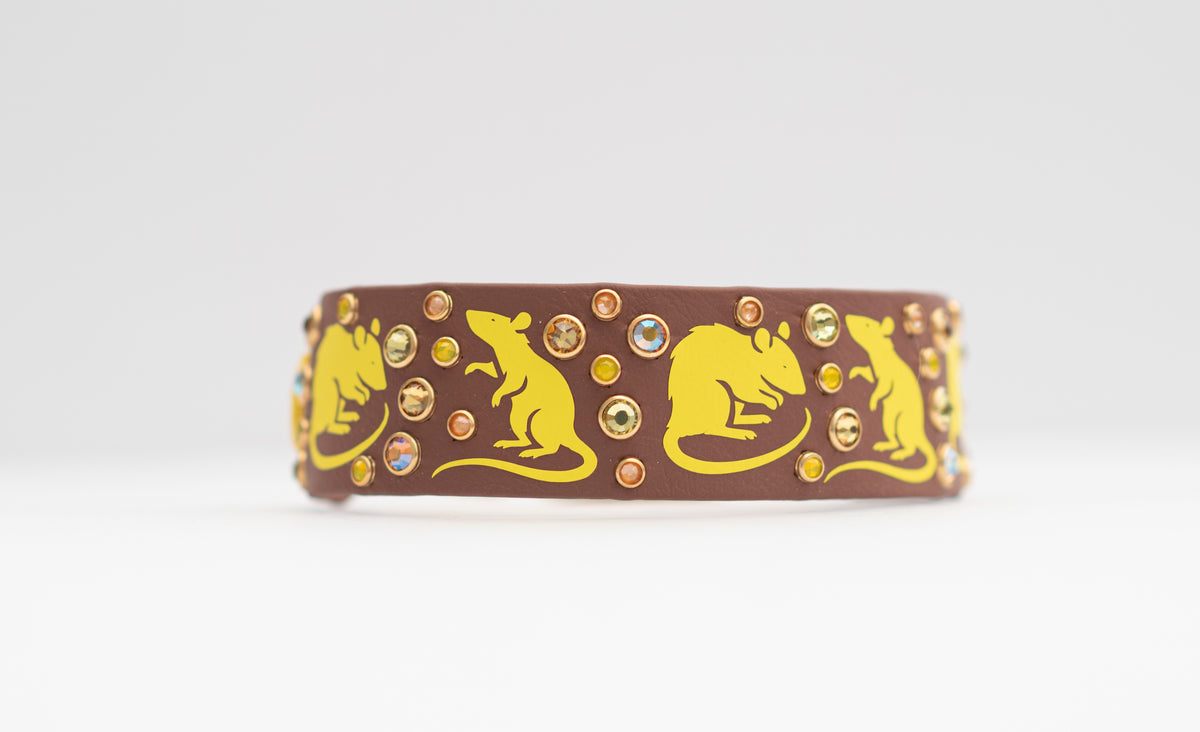 Barn Hunt Collar  - Vinyl Biothane Dog Collar