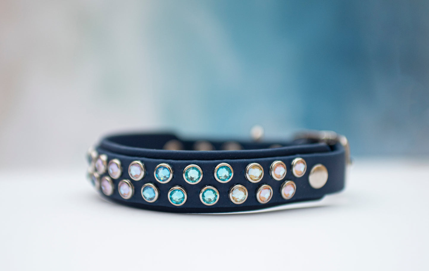 The Mini Euphoric 3/4" (20mm) - Biothane Dog Collar