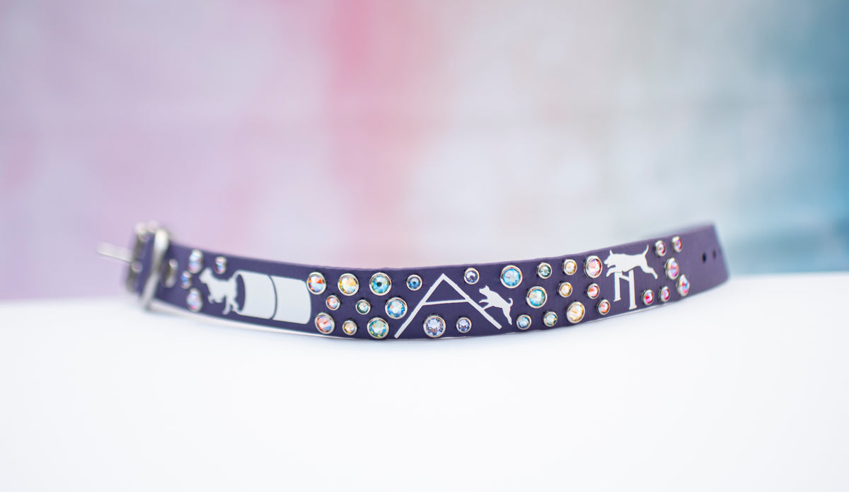 Vinyl x Bling Custom Design - Biothane Dog Collar