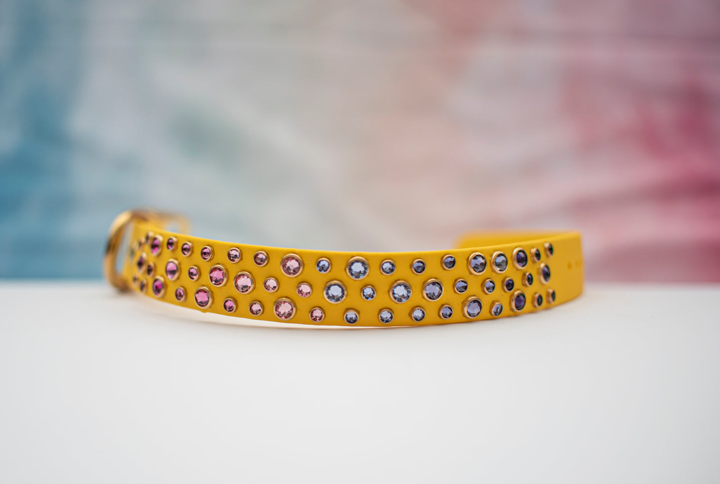 The Prince 1" (25mm) - Biothane Dog Collar