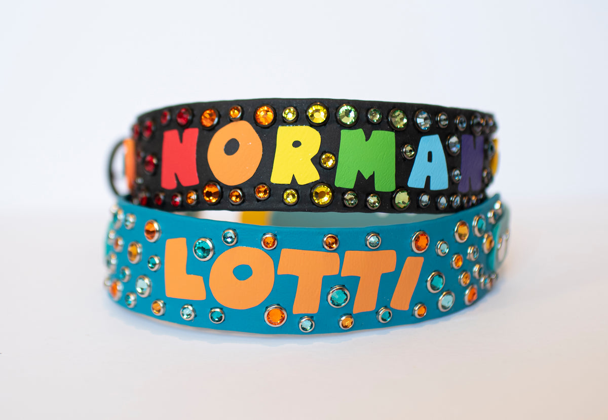 Vinyl x Bling Custom Design - Biothane Dog Collar