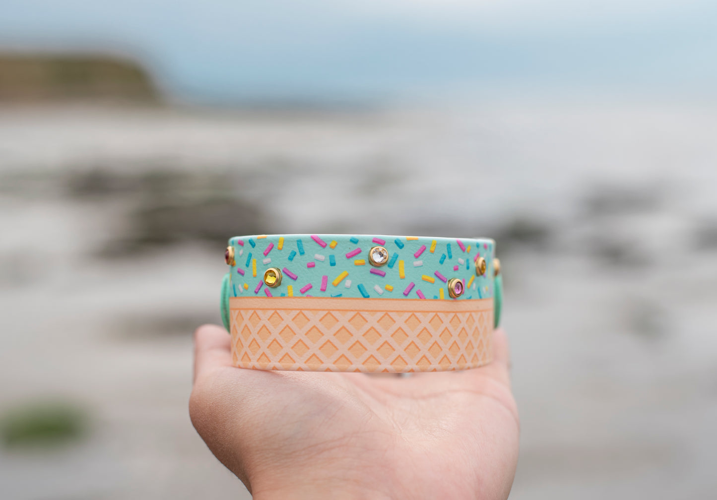 Get Your Scoop - Ice Cream Biothane Dog Collar