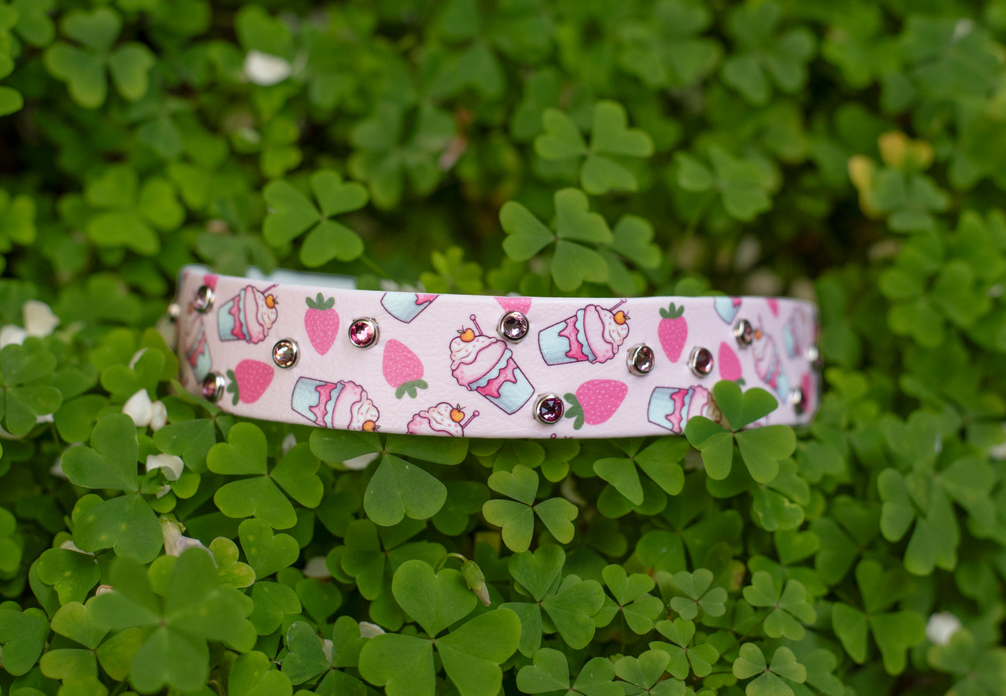 Strawberry Milkshake - Printed Stawberry Biothane Dog Collar
