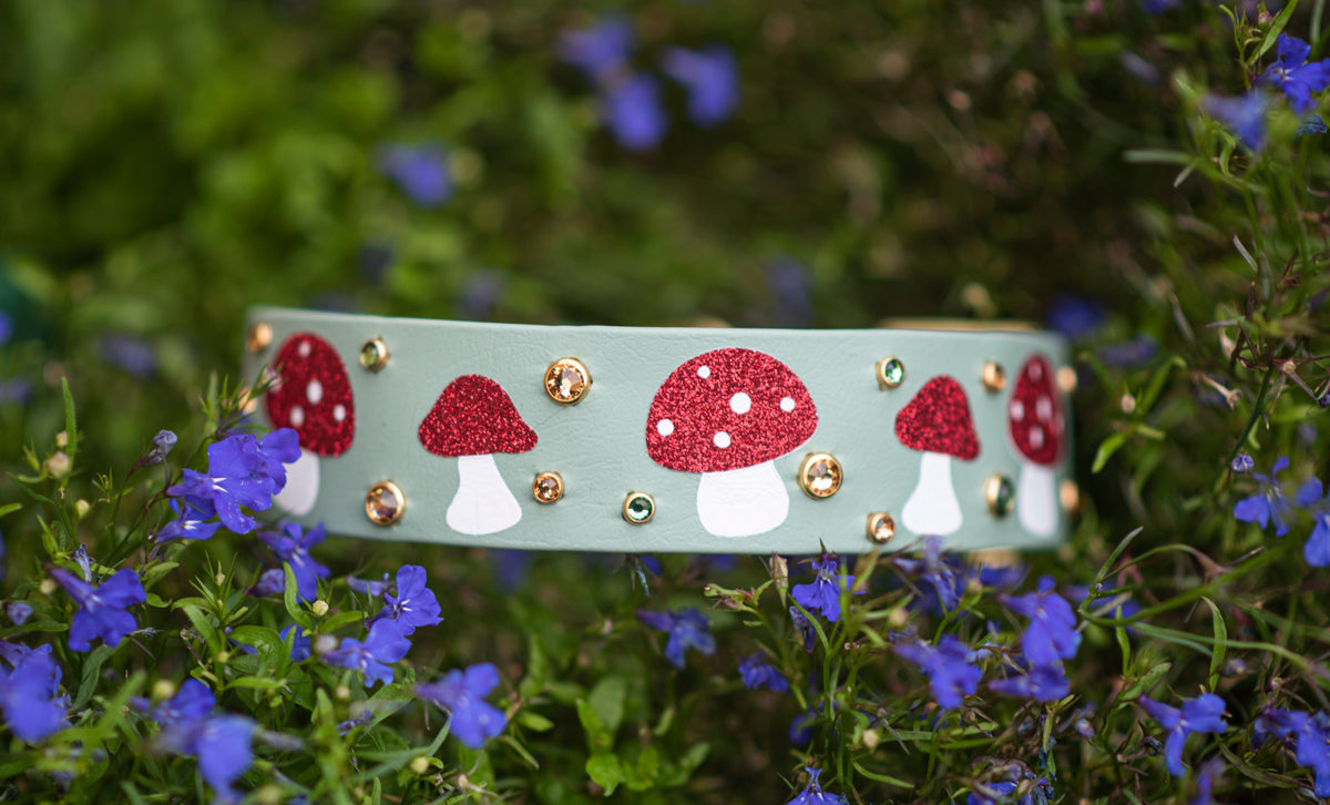 Vinyl x Bling Custom Design - Biothane Dog Collar