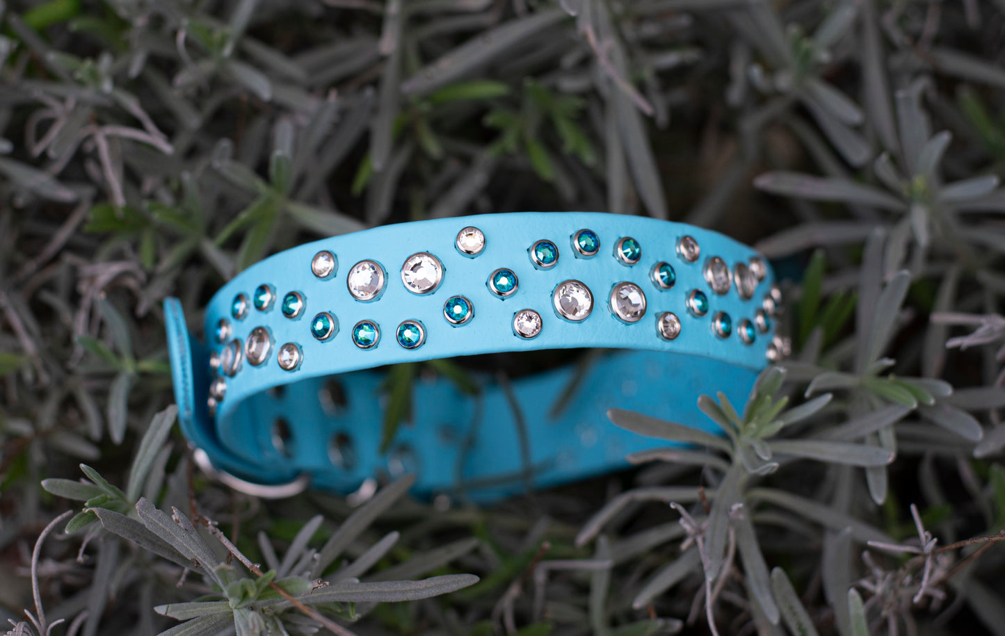 The Opulence 1" (25mm) - Biothane Dog Collar