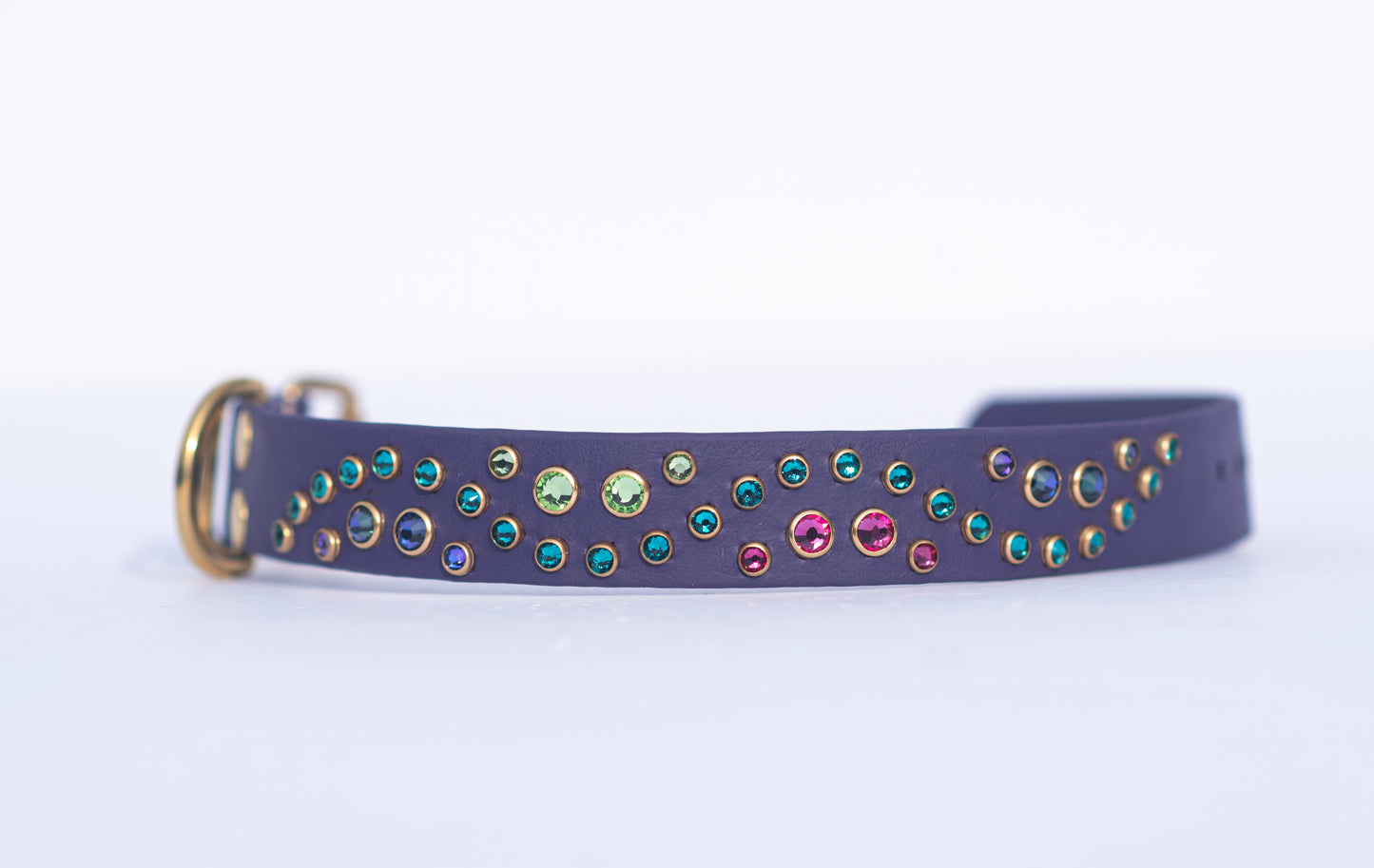 The Opulence 1" (25mm) - Biothane Dog Collar