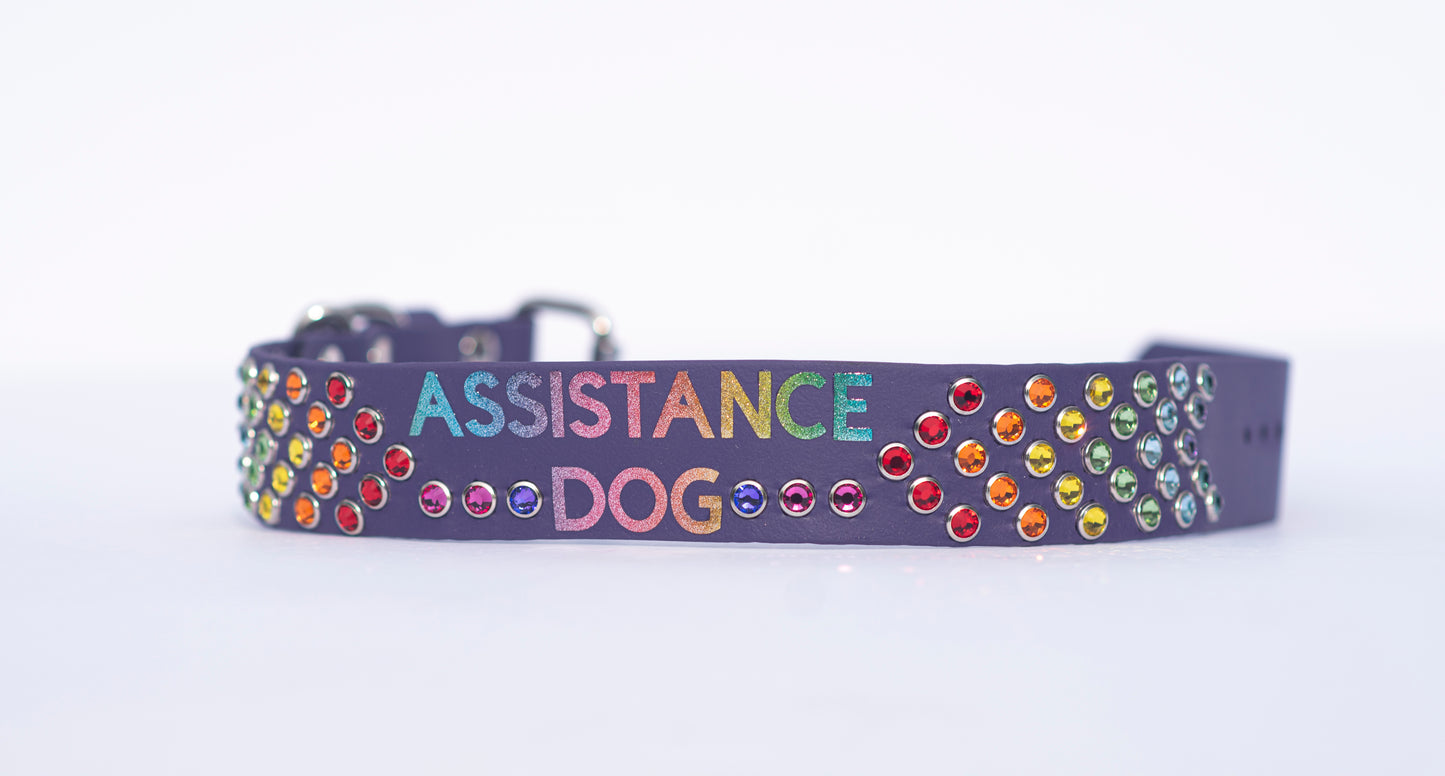 Vinyl x Bling Name/Phrase Collar  - Biothane Dog Collar