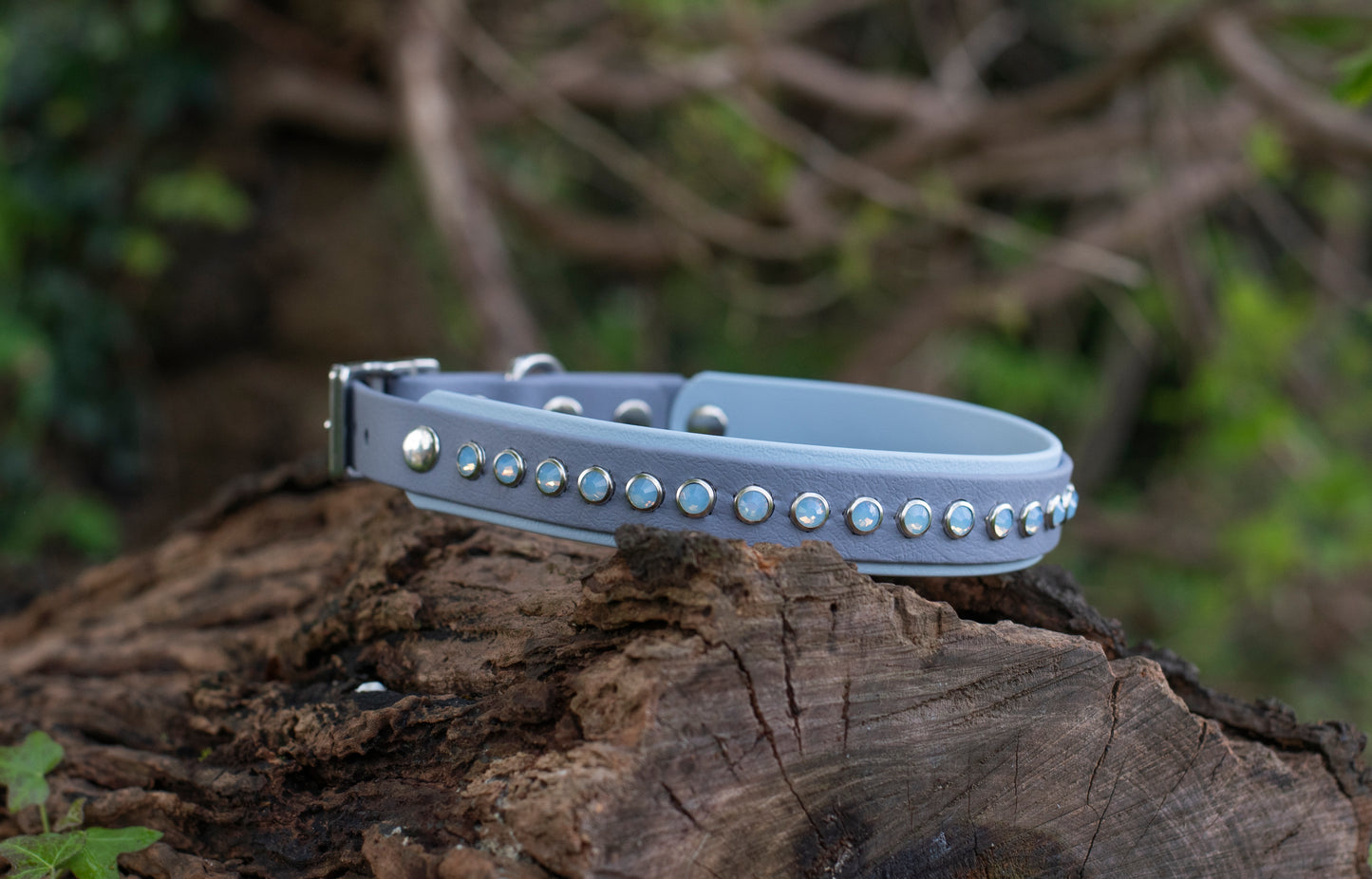 The Essence (Multiple Widths) - Biothane Dog Collar