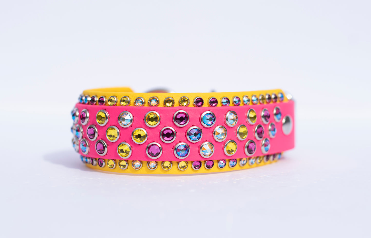 The Euphoric 1.5" (38mm) Double Layer - Biothane Dog Collar