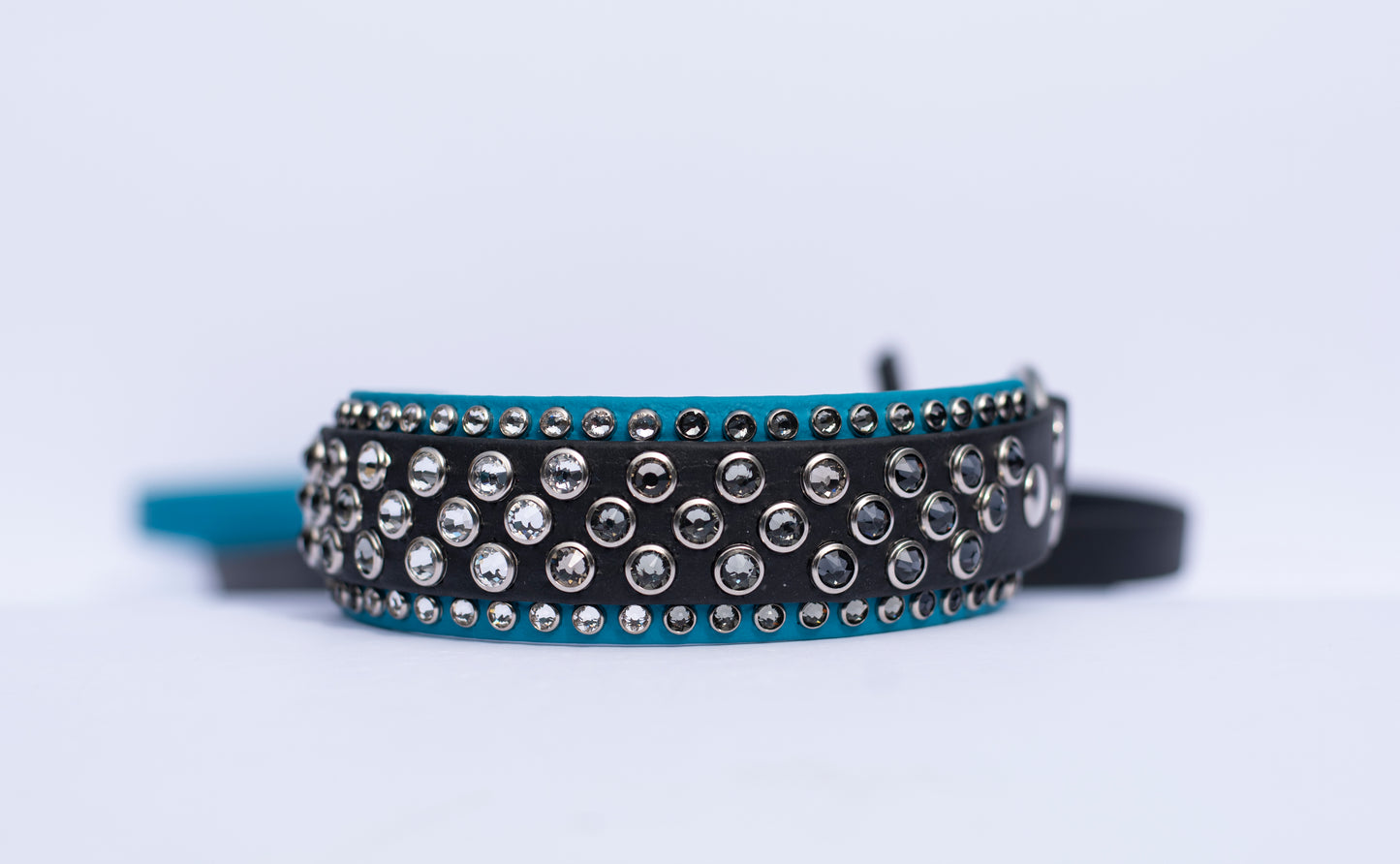 The Euphoric 1.5" (38mm) Double Layer - Biothane Dog Collar